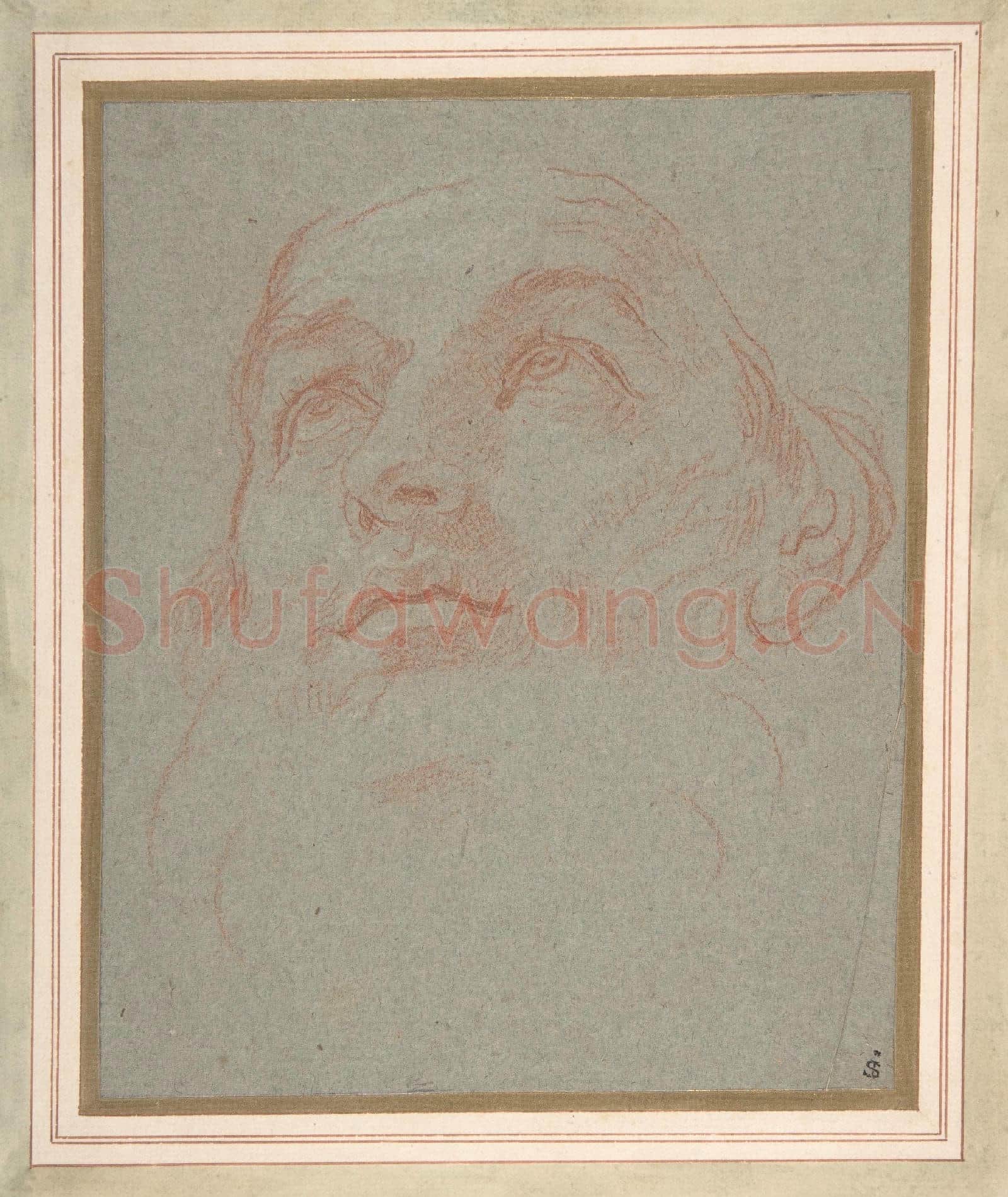 Carlo Maratti-Head of a Bearded Man Looking to Upper Left.tif