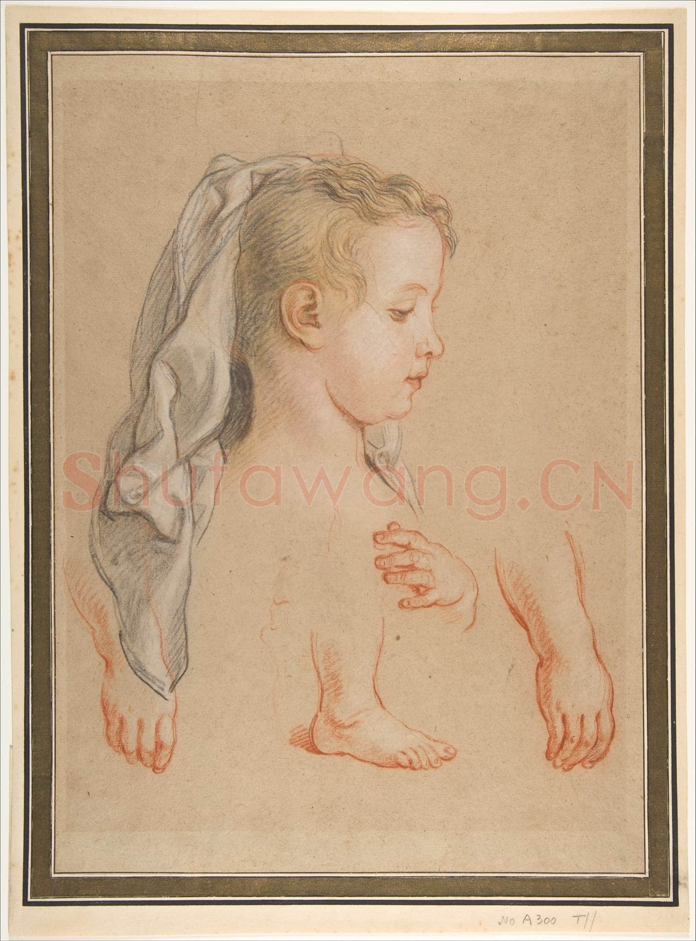 Charles de La Fosse-Head of a Young Girl and Studies of Hands and of her Right Foot.tif