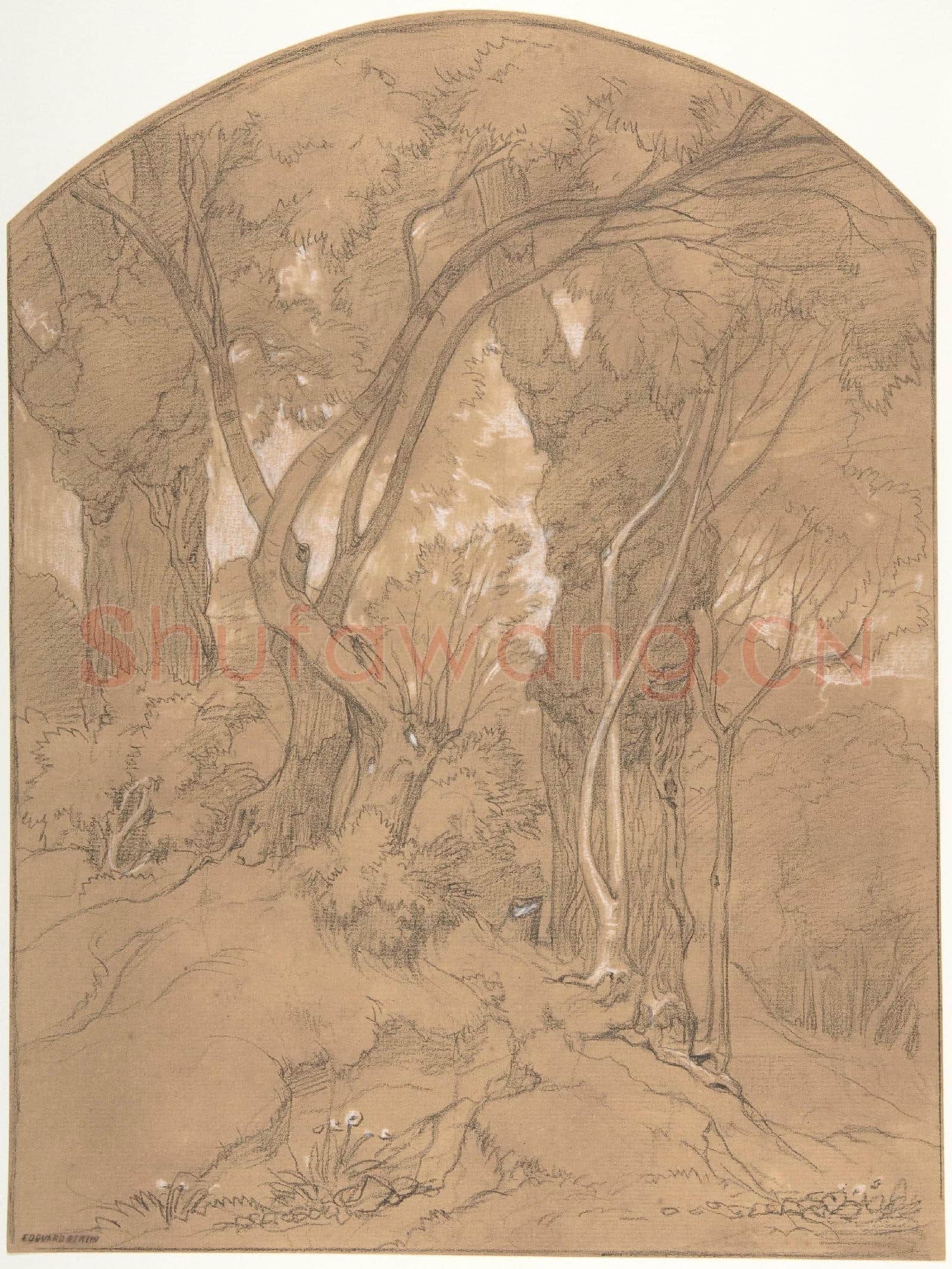 Édouard Bertin-Trees in a Forest.tif