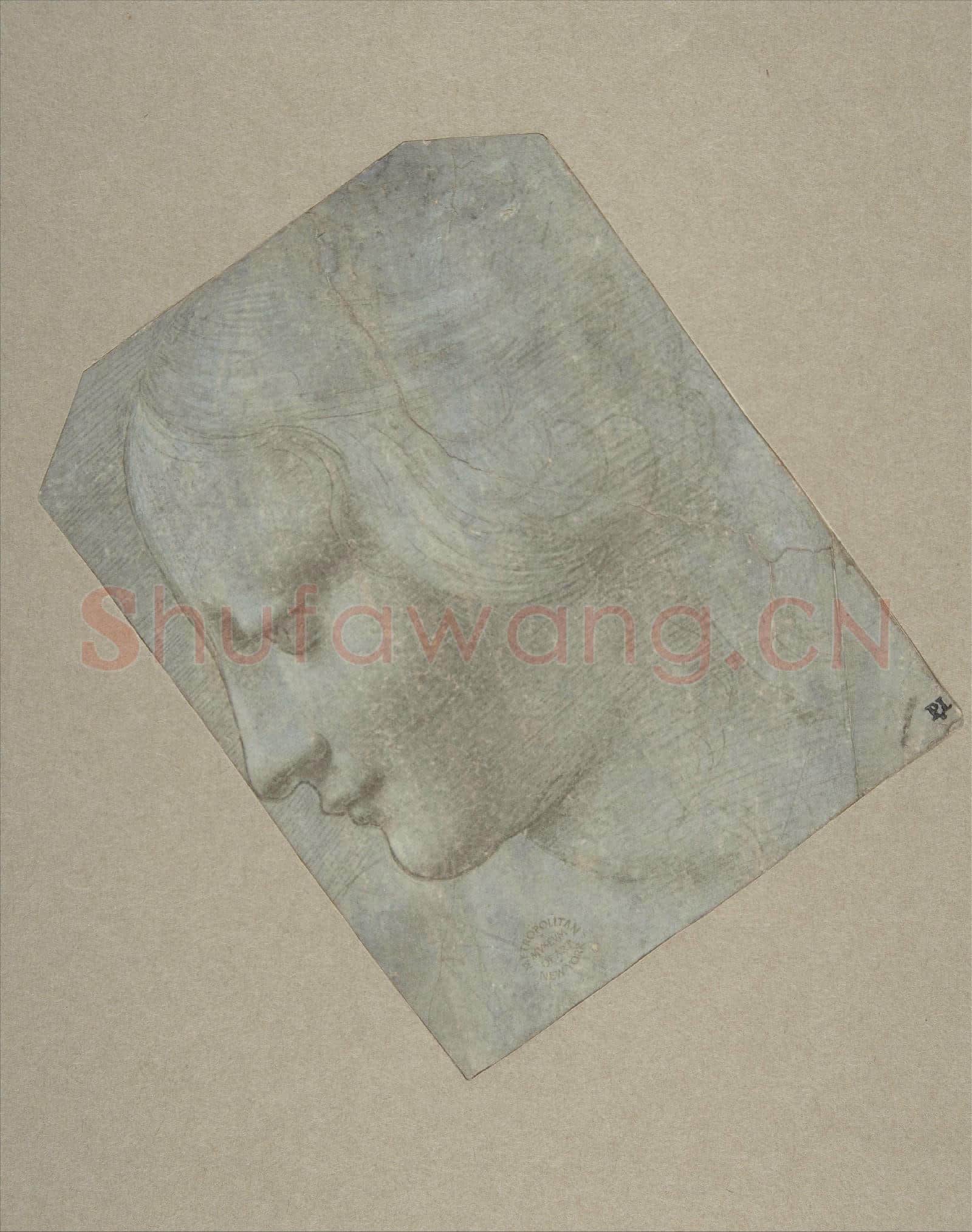 Follower of Leonardo da Vinci-The Head of a Woman in Profile Facing Left.tif