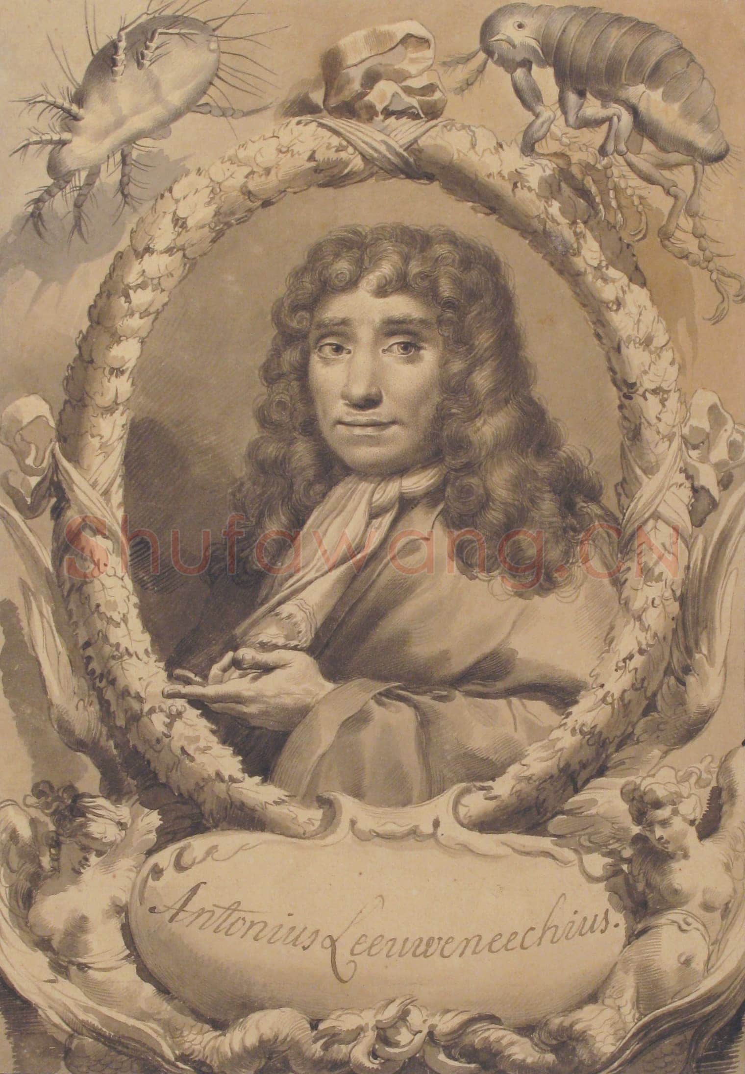 Gaetano Gandolfi-The Dutch Microscopist Anton van Leeuwenhoek.tif