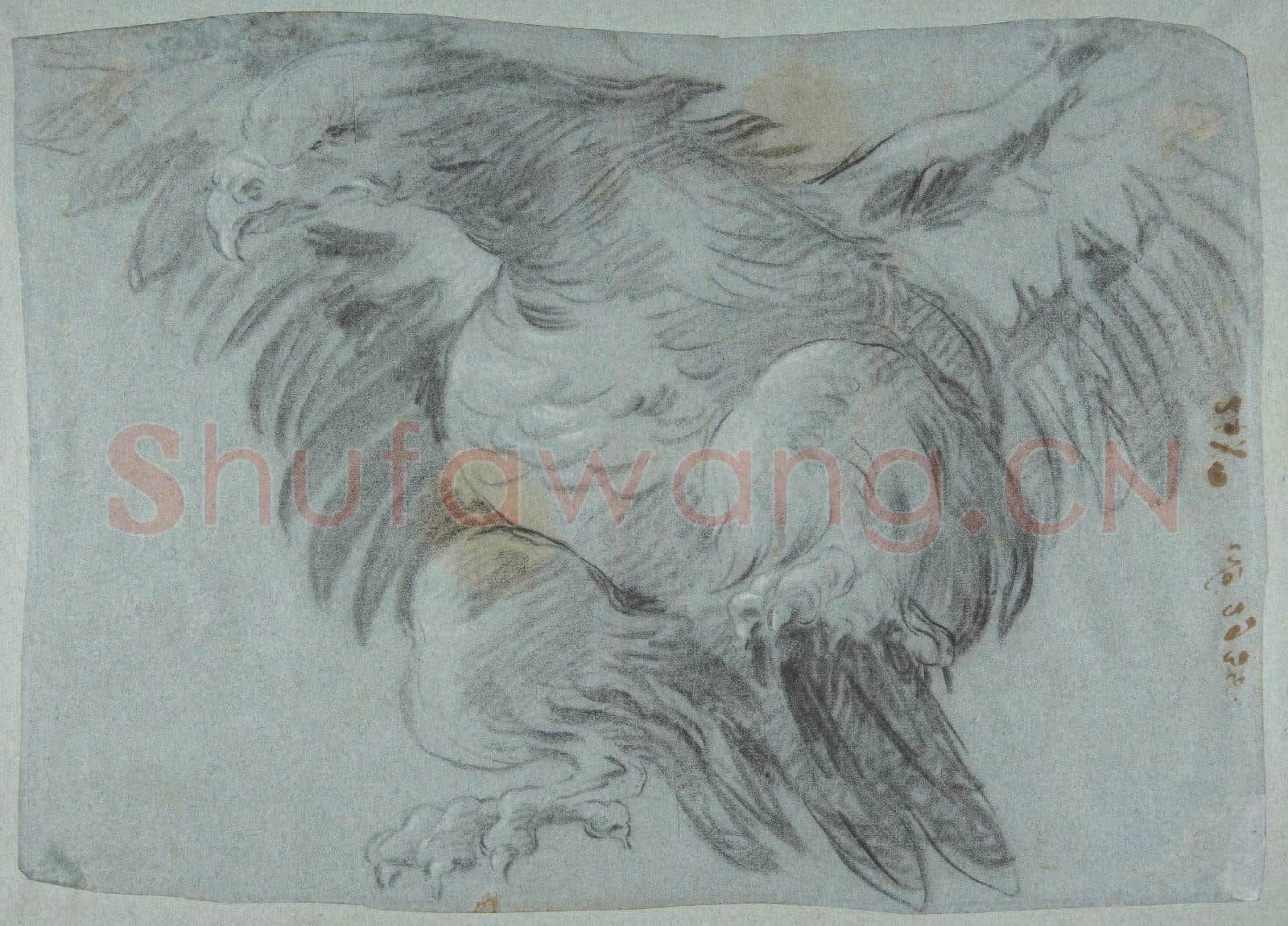 Giovanni Battista Tiepolo-An Eagle with Wings Spread.tif
