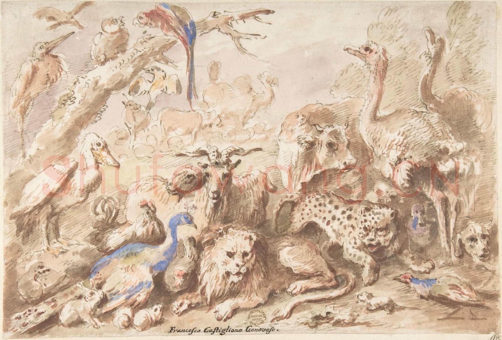 Giovanni Francesco Castiglione-A Congress of Animals.tif
