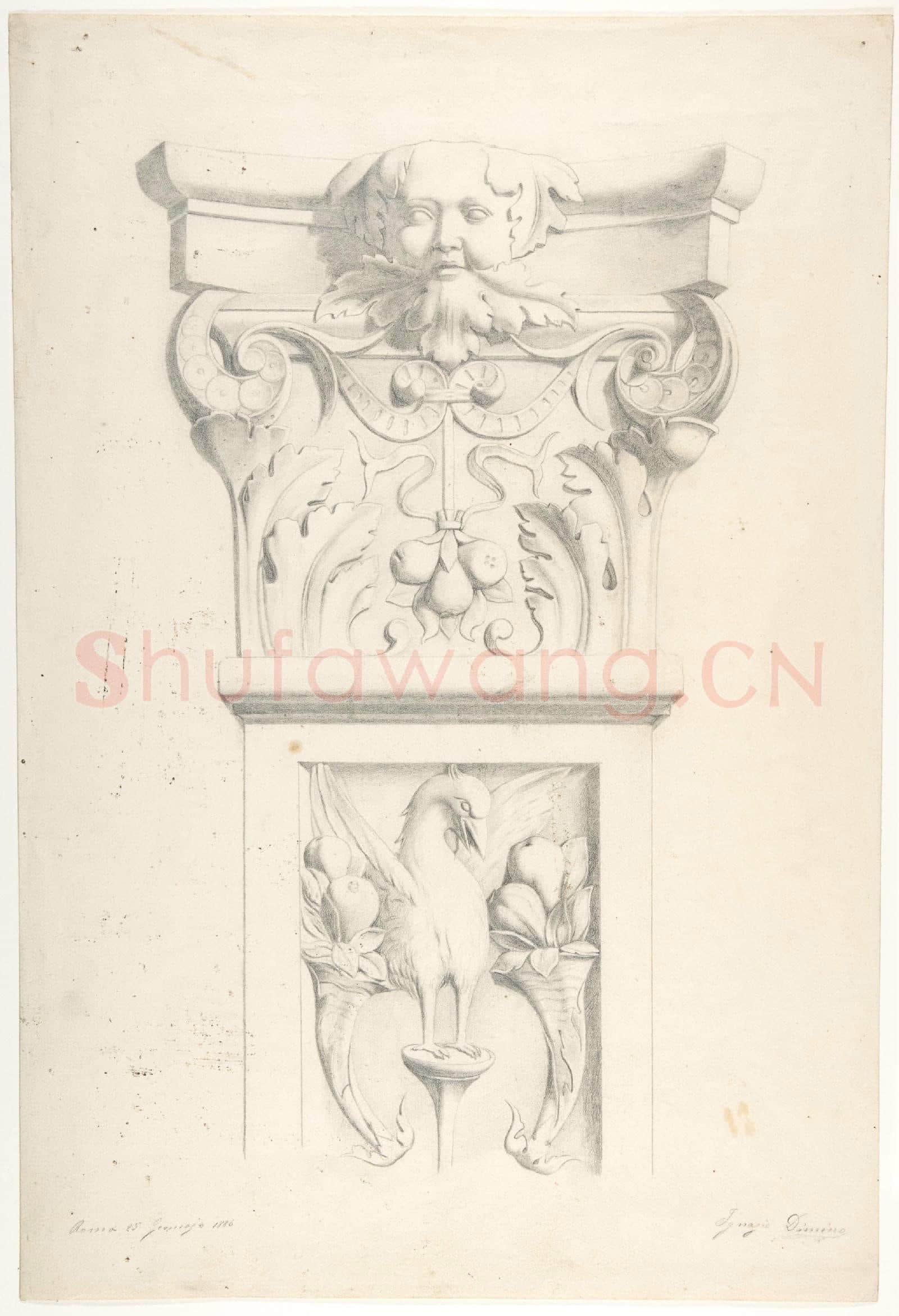 Ignazio Dimino-Drawing after a XVIth Century Marble Pilaster.tif