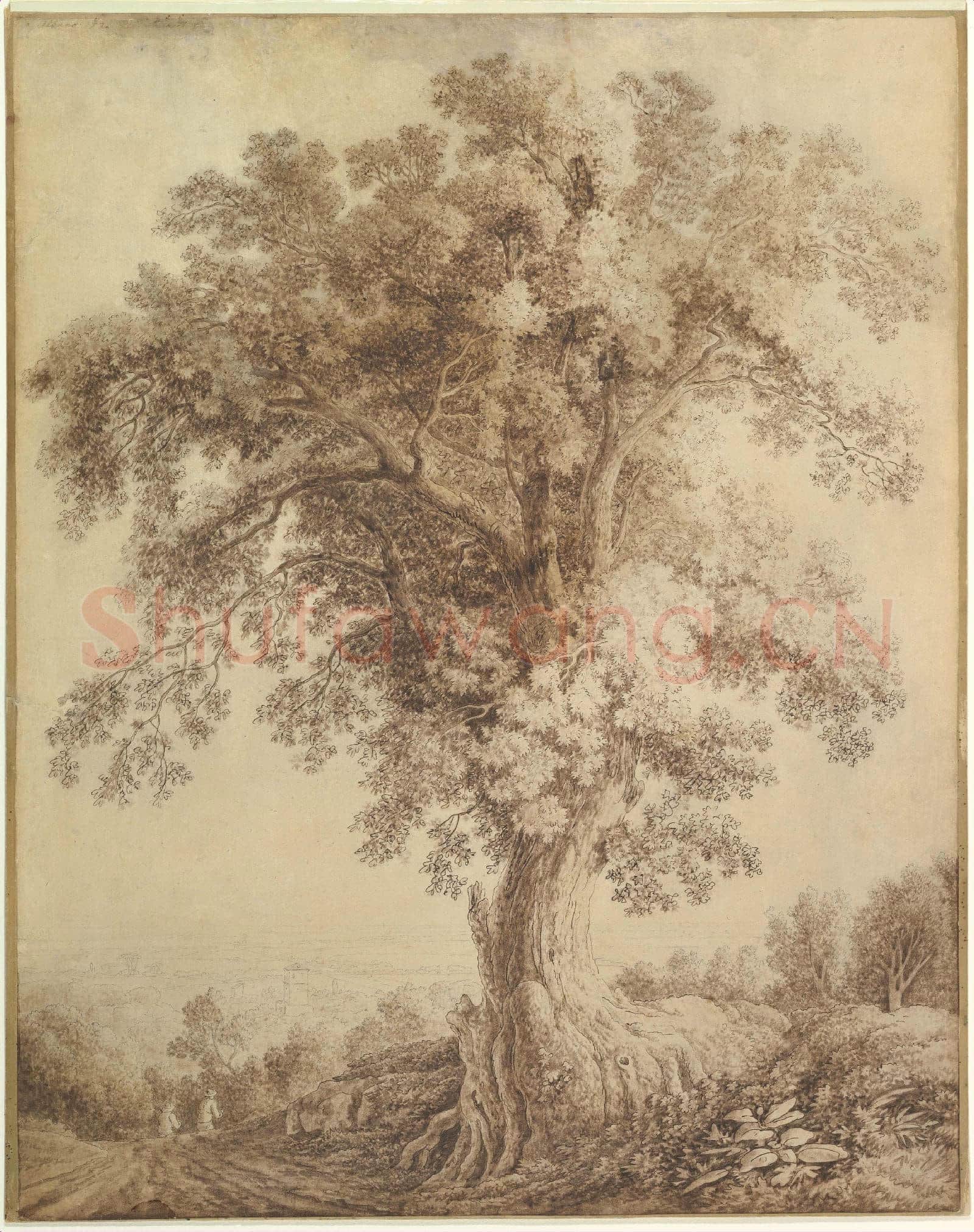 Jacob Philipp Hackert-A Large Tree at Albano.tif
