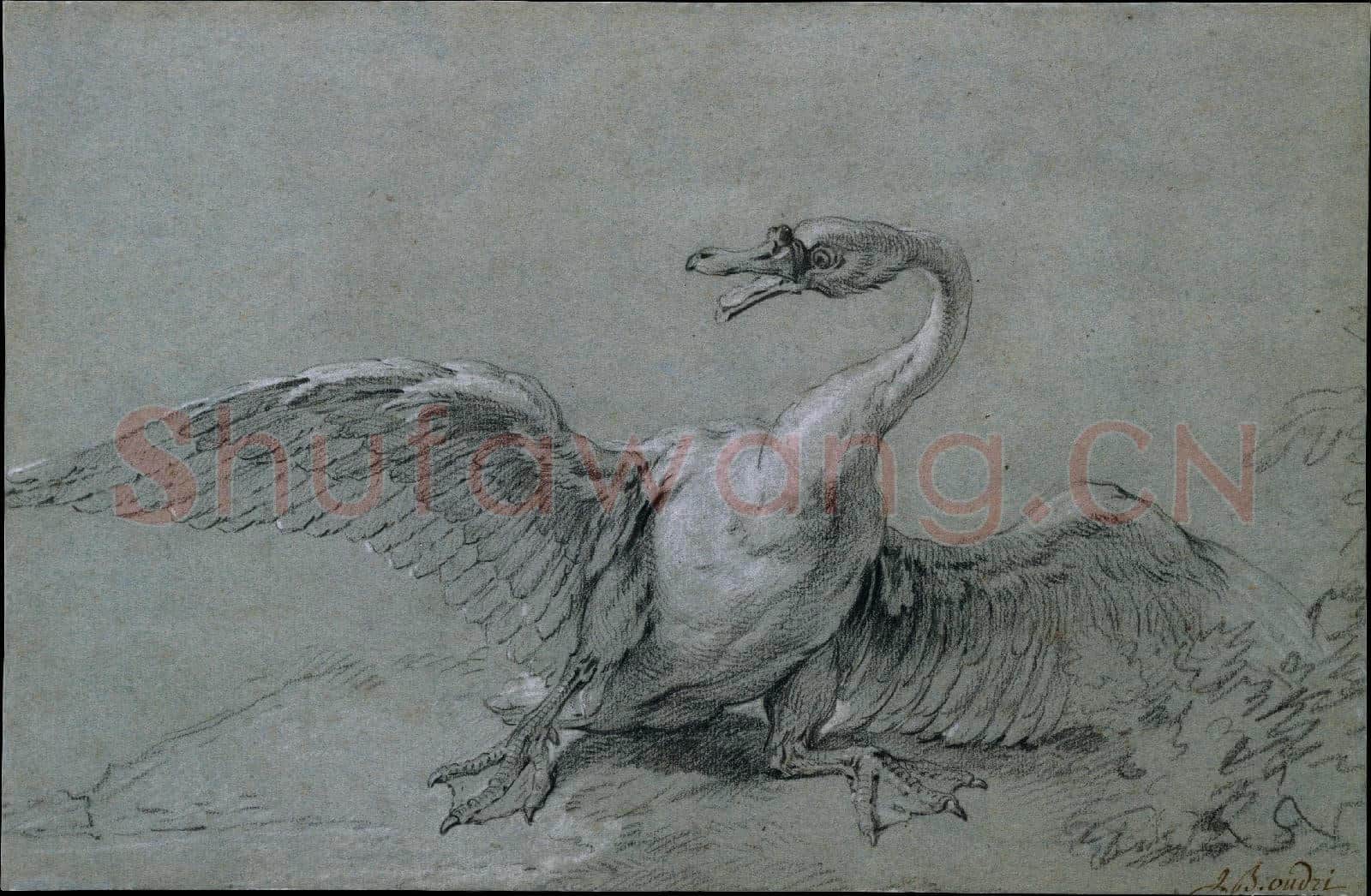 Jean-Baptiste Oudry-Angry Swan.tif