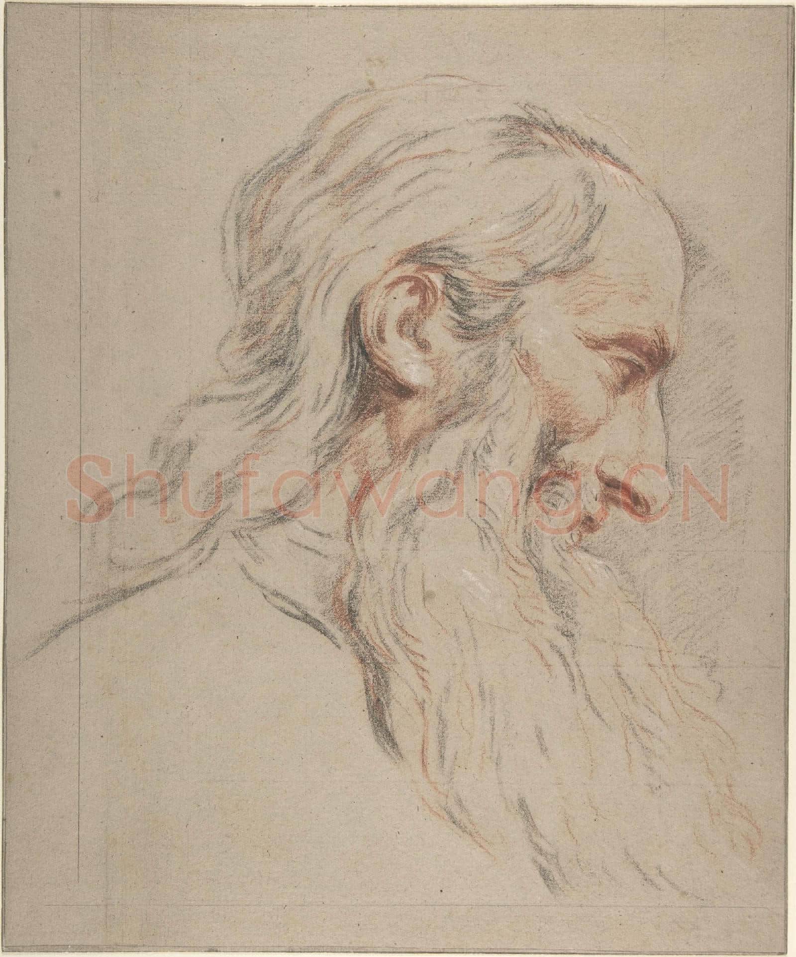 Jean Restout le jeune-Head of a Bearded Man.tif
