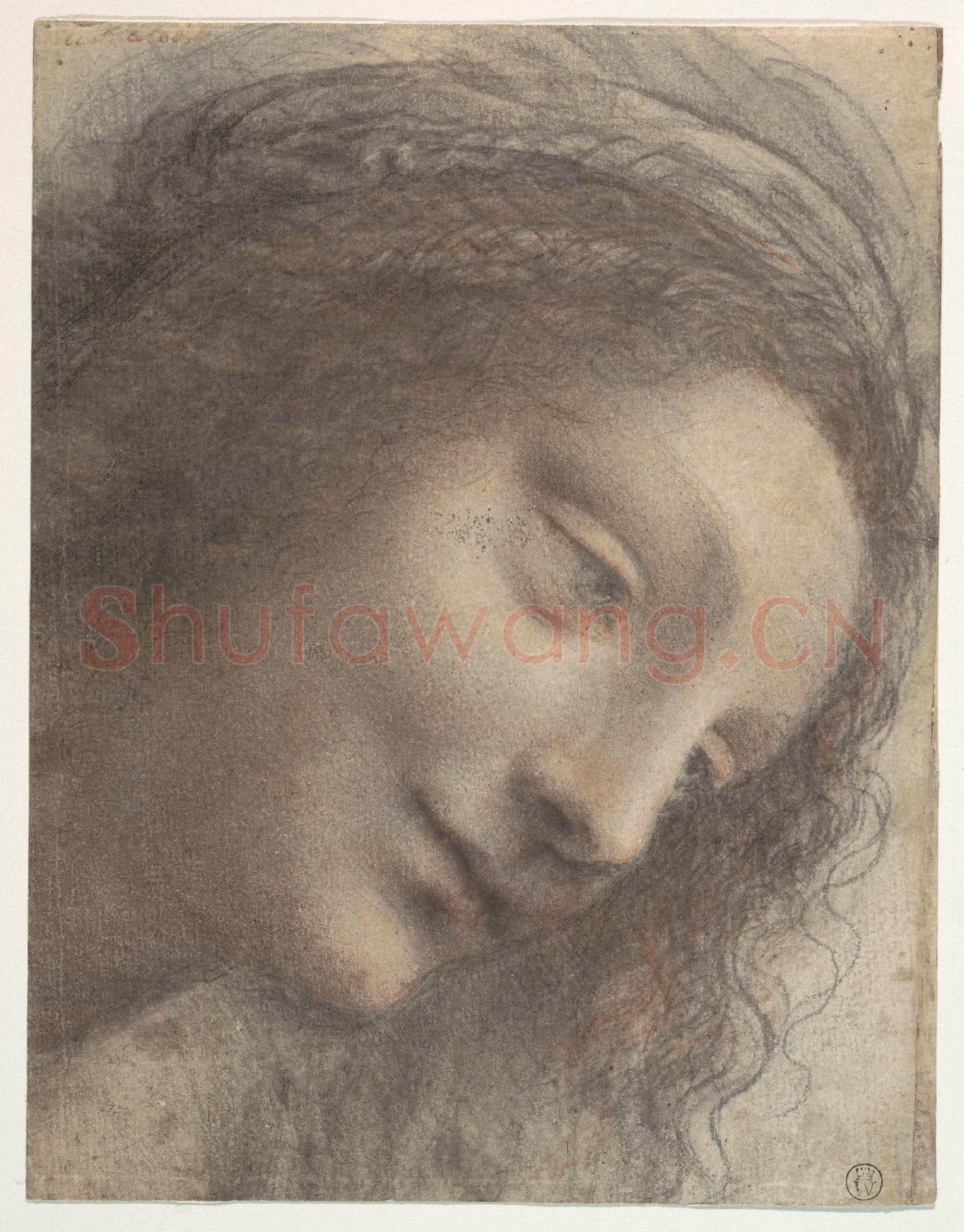 Leonardo da Vinci-The Head of the Virgin in Three-Quarter.tif