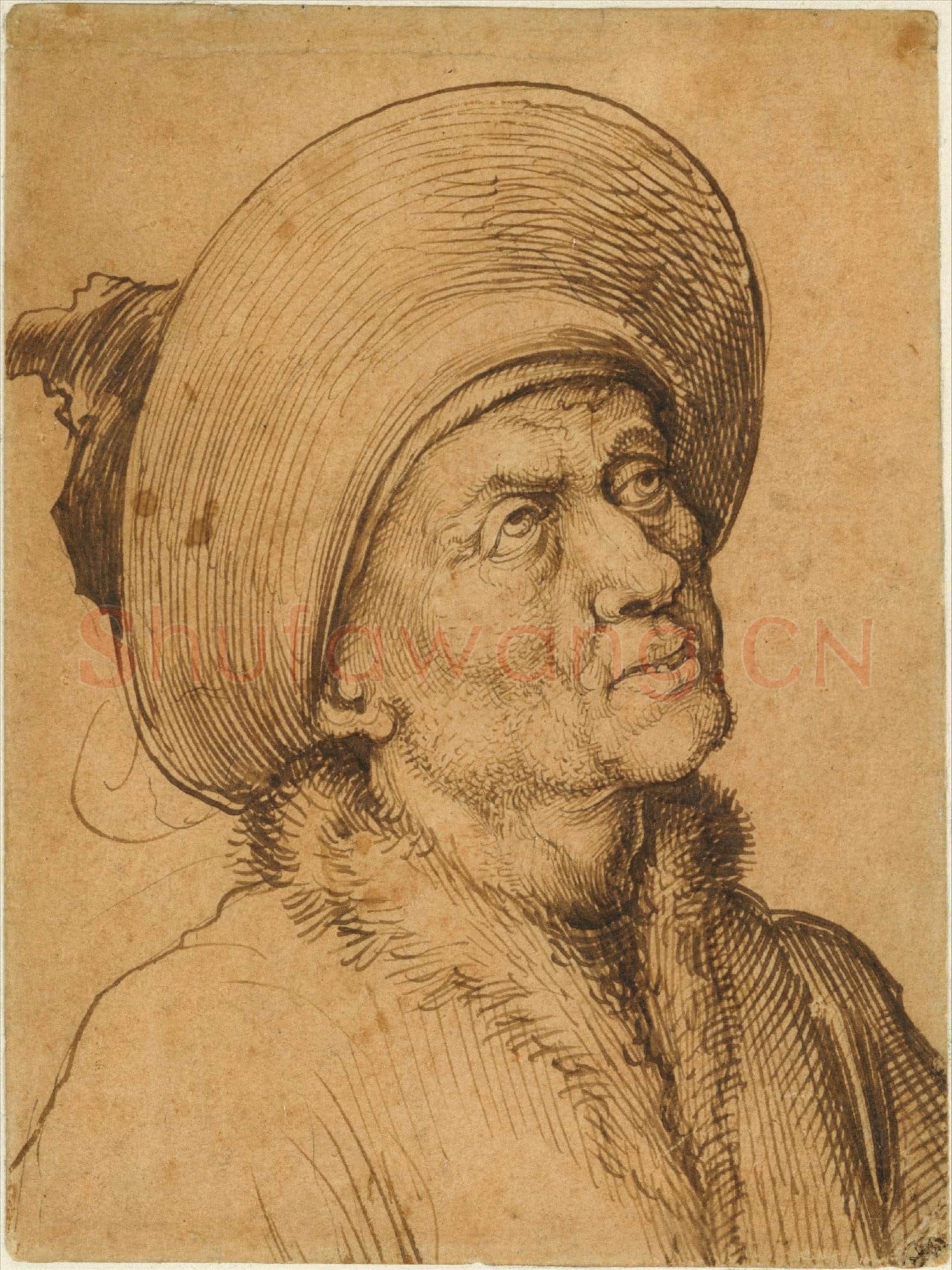 Martin Schongauer-Bust of a Man in a Hat Gazing Upward.tif