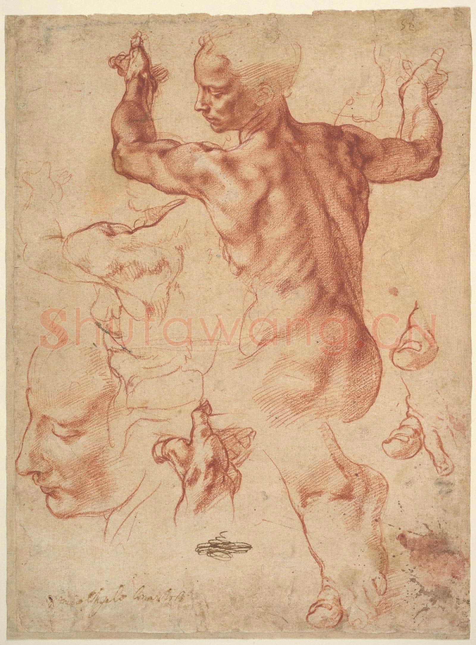 Michelangelo Buonarroti-Studies for the Libyan Sibyl.tif