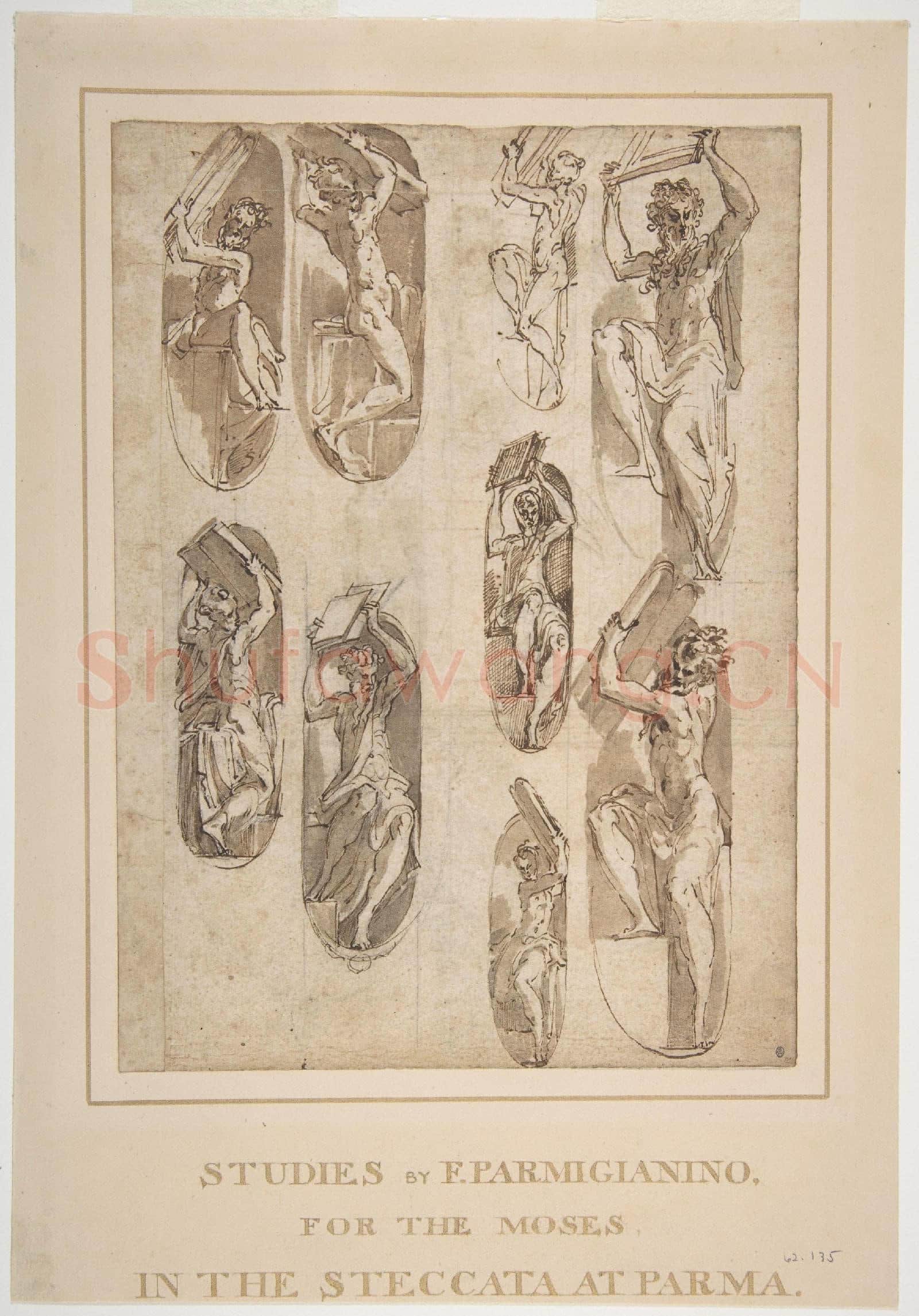 Parmigianino-Nine Studies of the Moses in the Steccata.tif