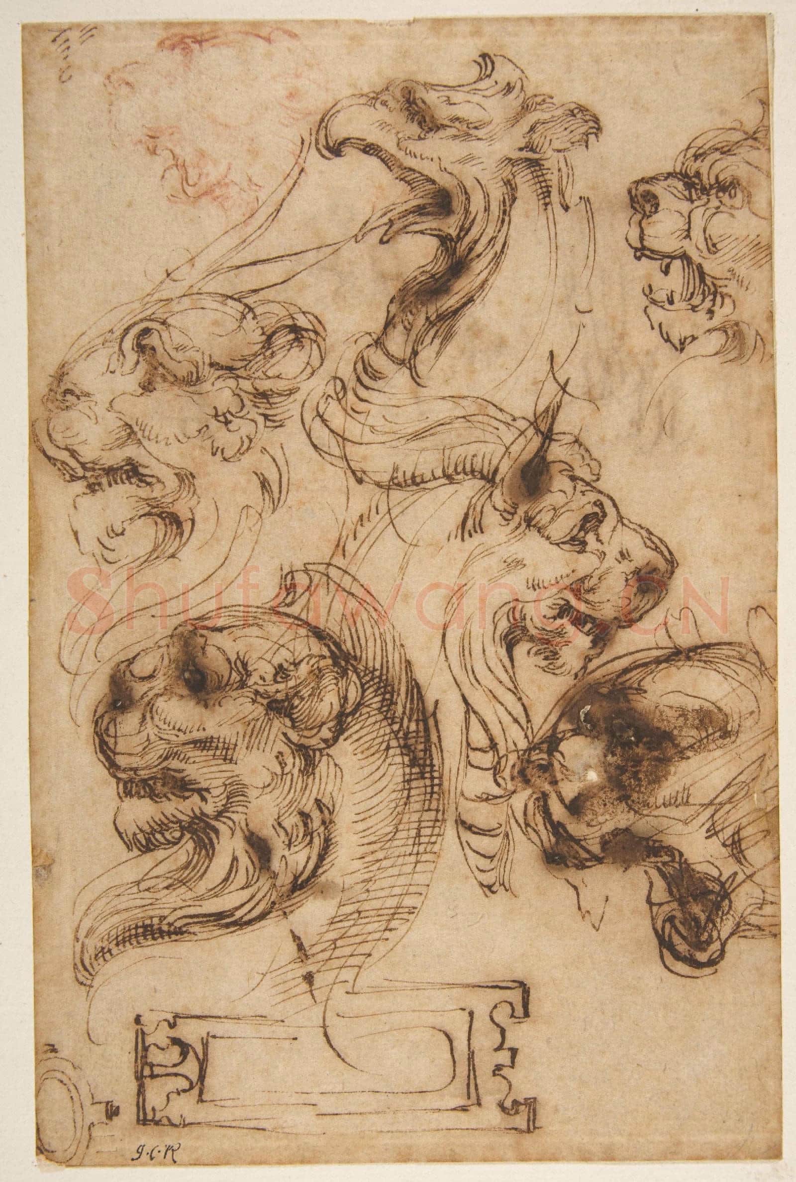 Pellegrino Tibaldi-Six Studies of Animal Heads and of a Cartouche.tif