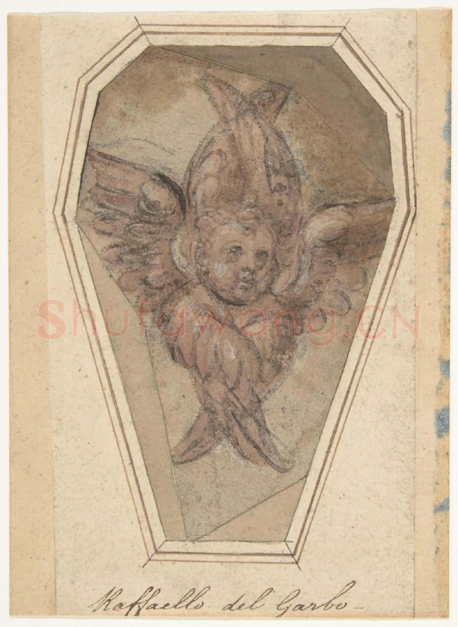 Raffaellino del Garbo-A Seraph.tif