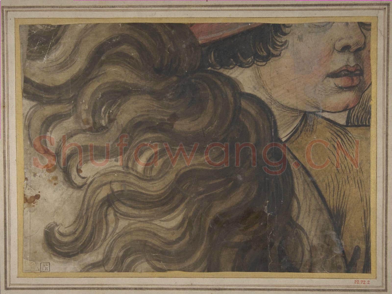 School of Raphael-Head of a boy and section of a horse's mane.tif
