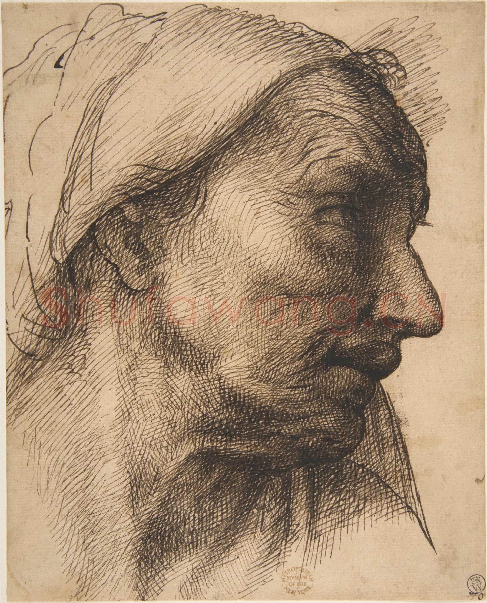 Sebastiano del Piombo-Head of an Old Woman.tif