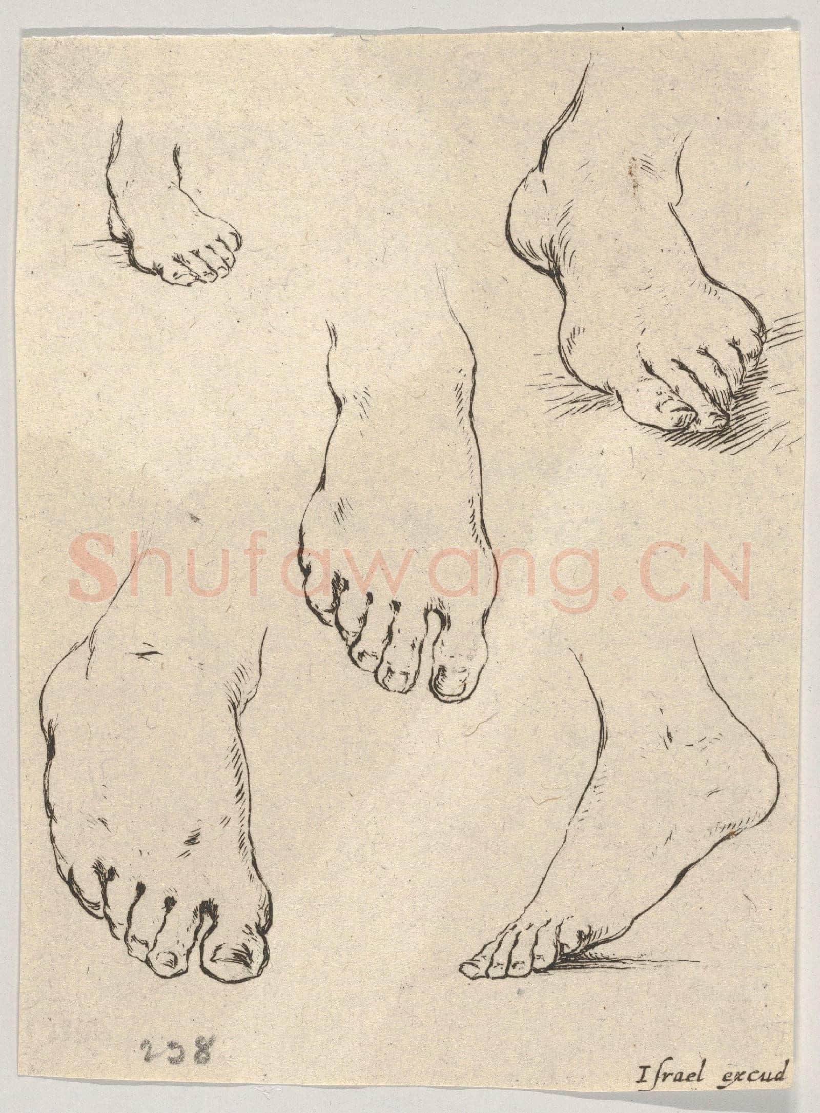 Stefano della Bella-Five Feet, from The Book for Learning to Draw.tif