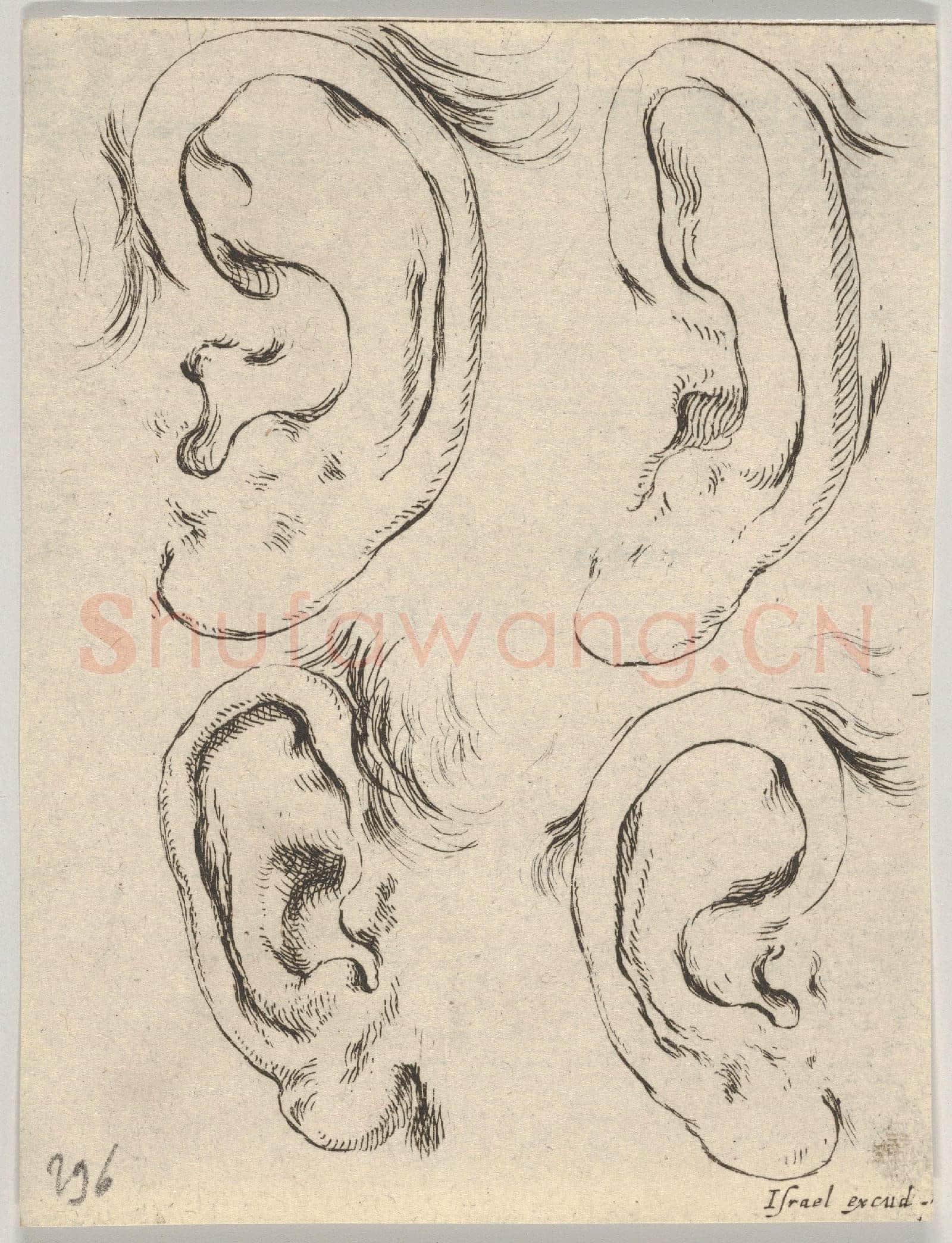 Stefano della Bella-Four Ears, from The Book for Learning to Draw.tif