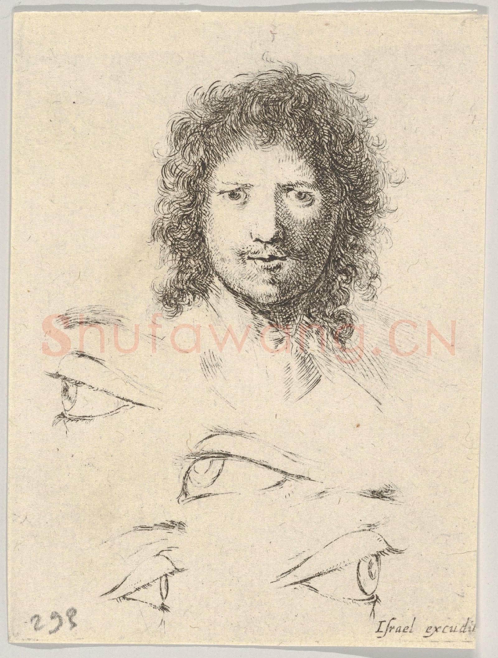 Stefano della Bella-Head of a Young Man, Frontal View.tif