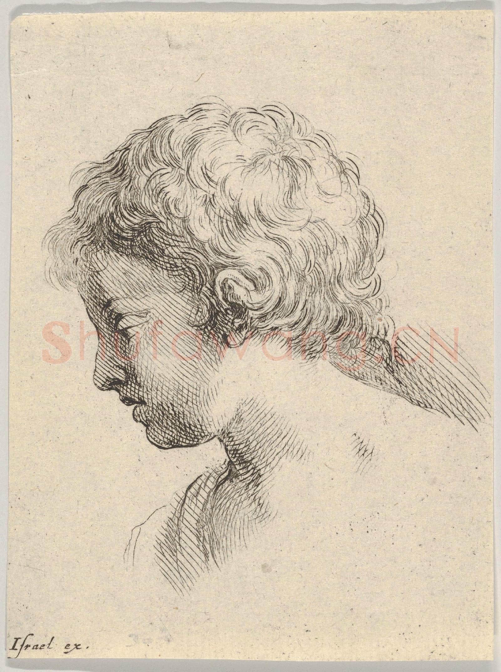 Stefano della Bella-Head of a Young Woman, from The Book for Learning to Draw.tif
