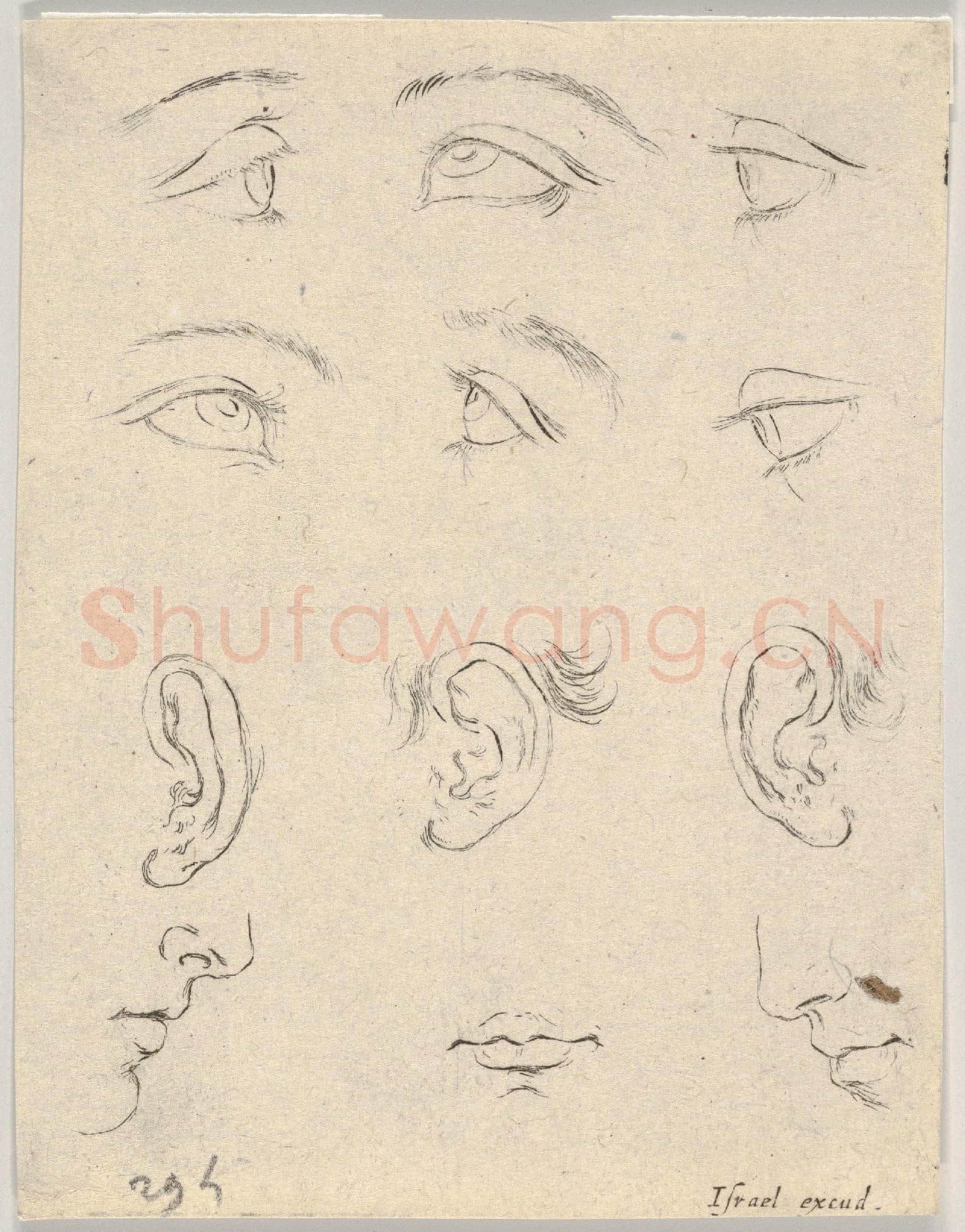 Stefano della Bella-Three Eyes, Three Other Eyes, Three Ears.tif