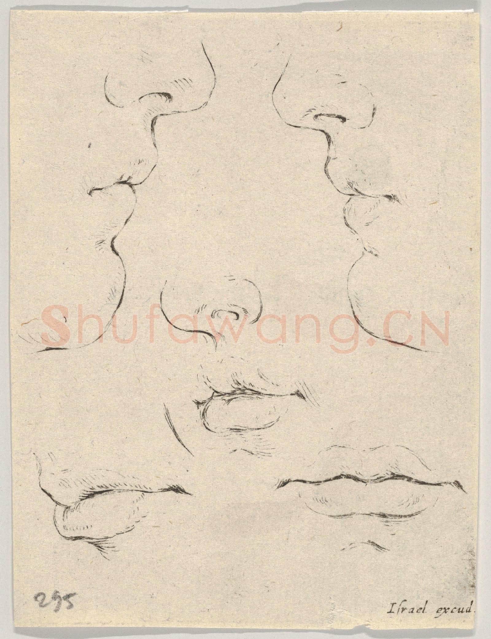 Stefano della Bella-Two Profiles, Three Mouths, from The Book.tif