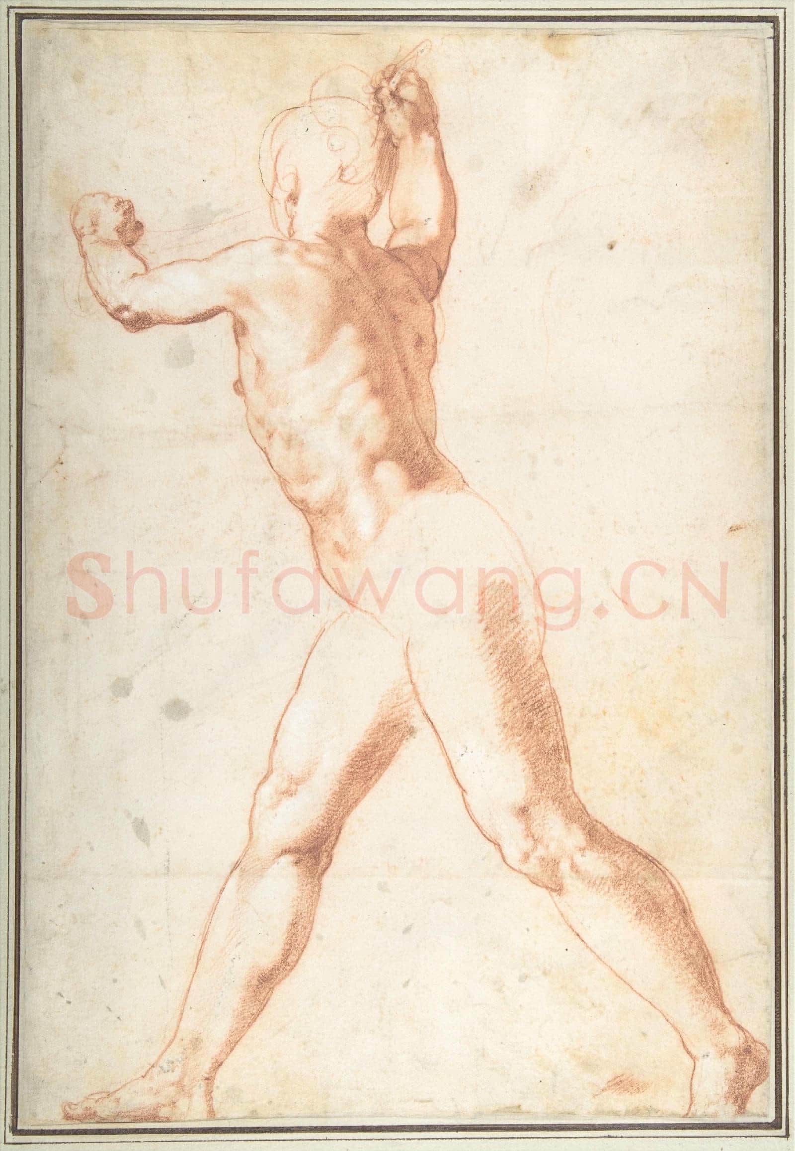 Taddeo Zuccaro-Standing Nude Man(recto)Three Studies.tif