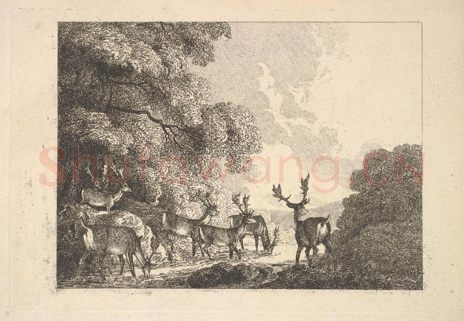 Thomas Rowlandson-A Group of Stags Drinking.tif