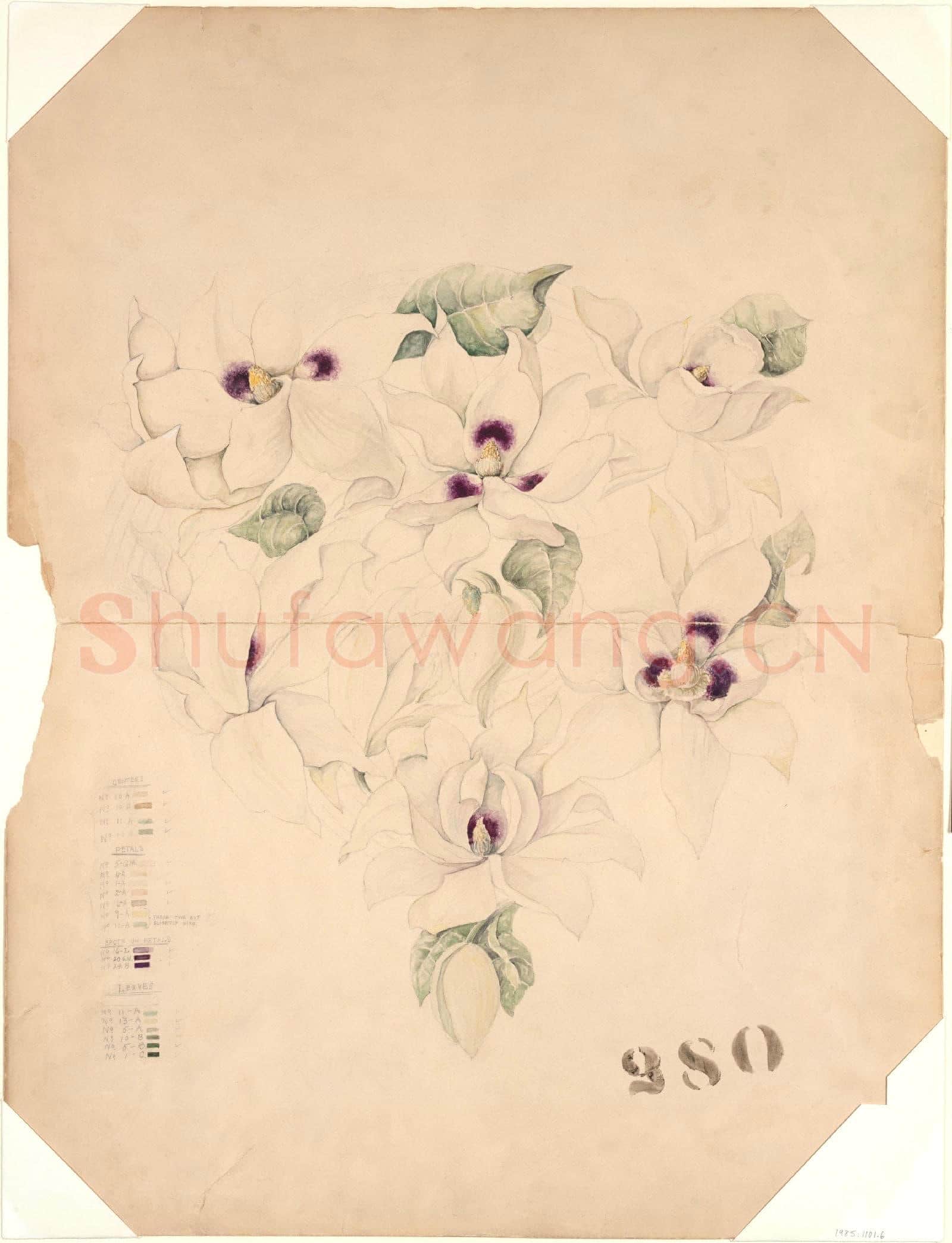 Tiffany & Co-Design Drawing1.tif
