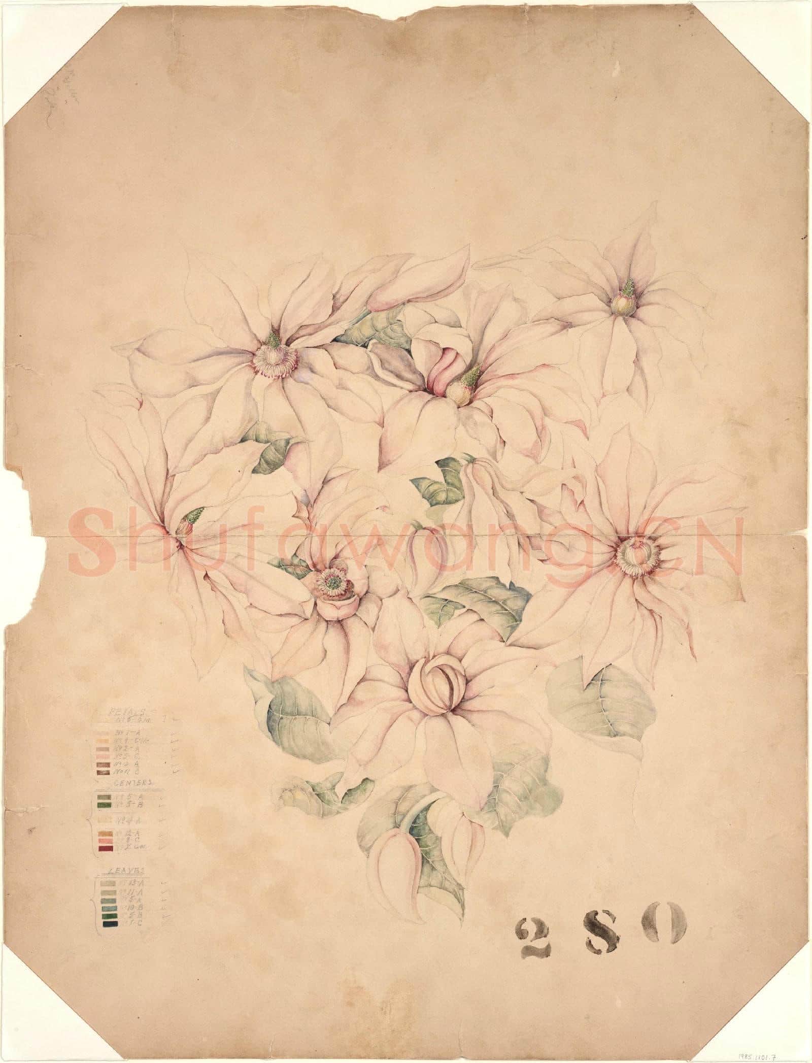 Tiffany & Co-Design Drawing2.tif
