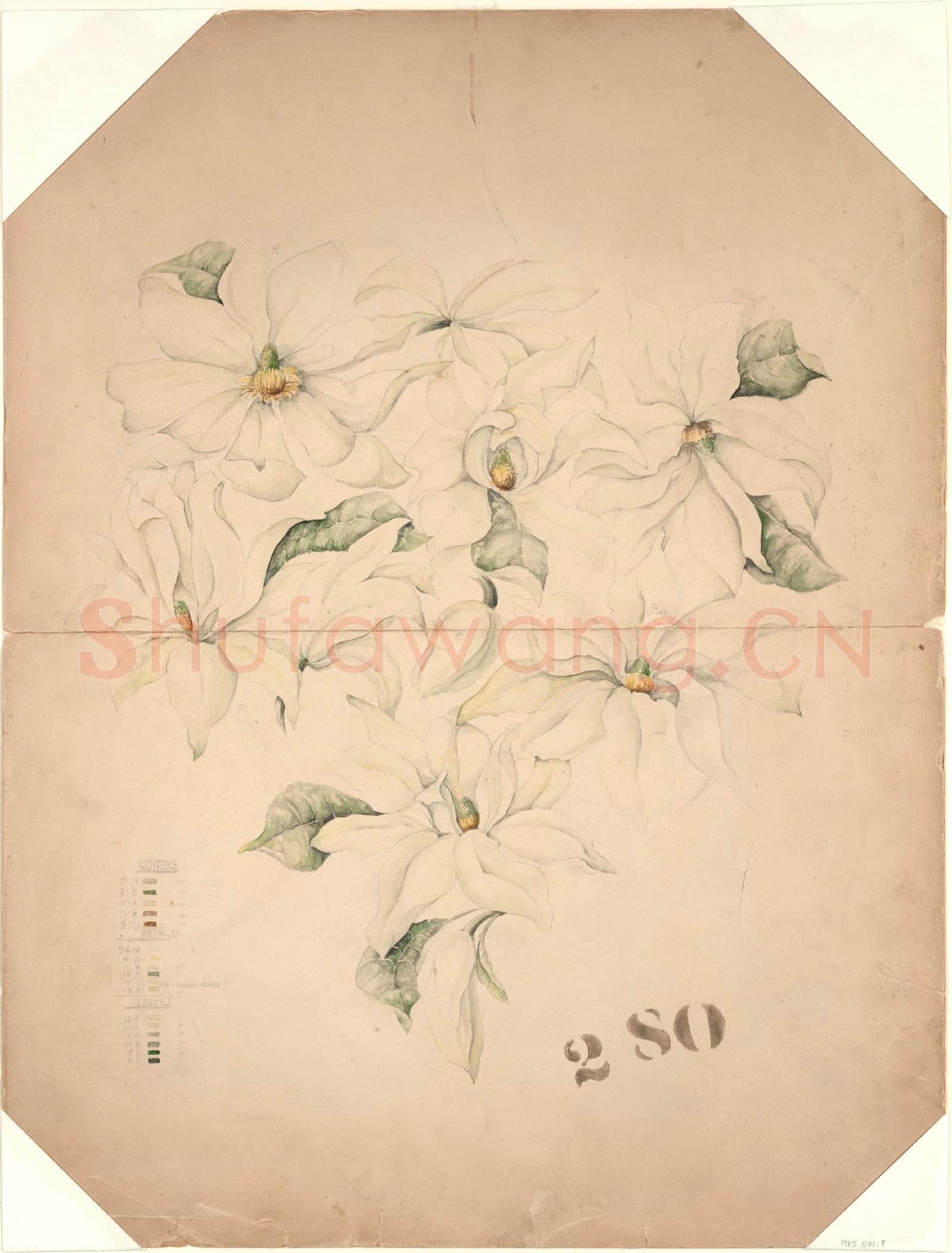 Tiffany & Co-Drawing of Magnolia Vase with Enameling Notations.tif