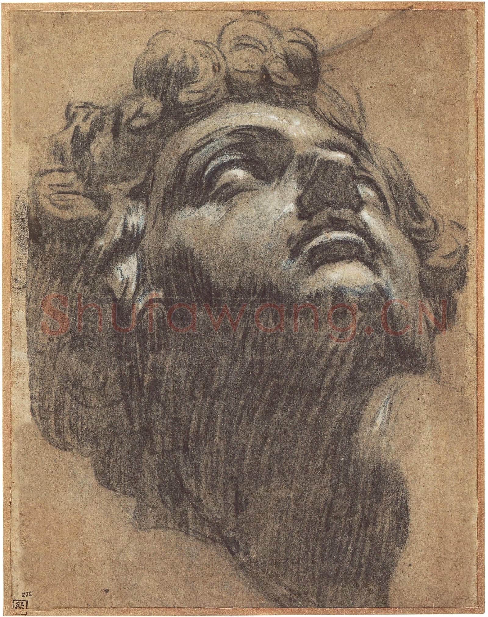 Tintoretto(1518–1594)-Head of Giuliano de' Medici.tif