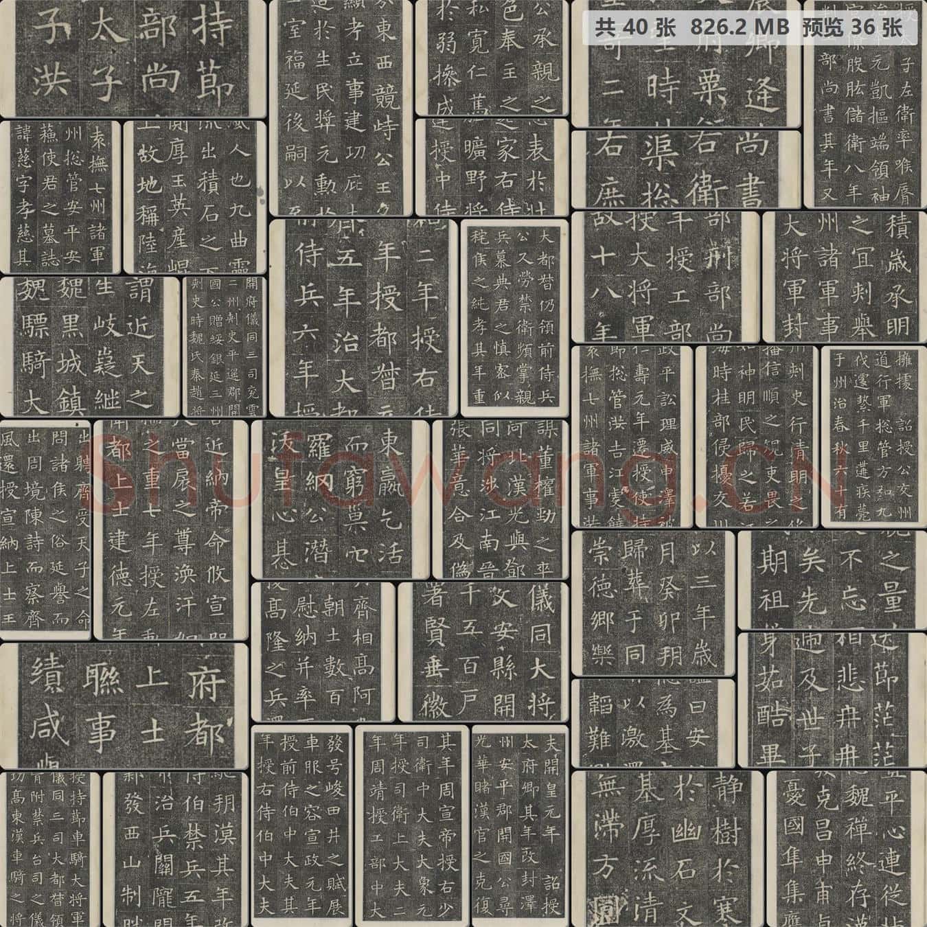 隋 苏孝慈墓志 楷书