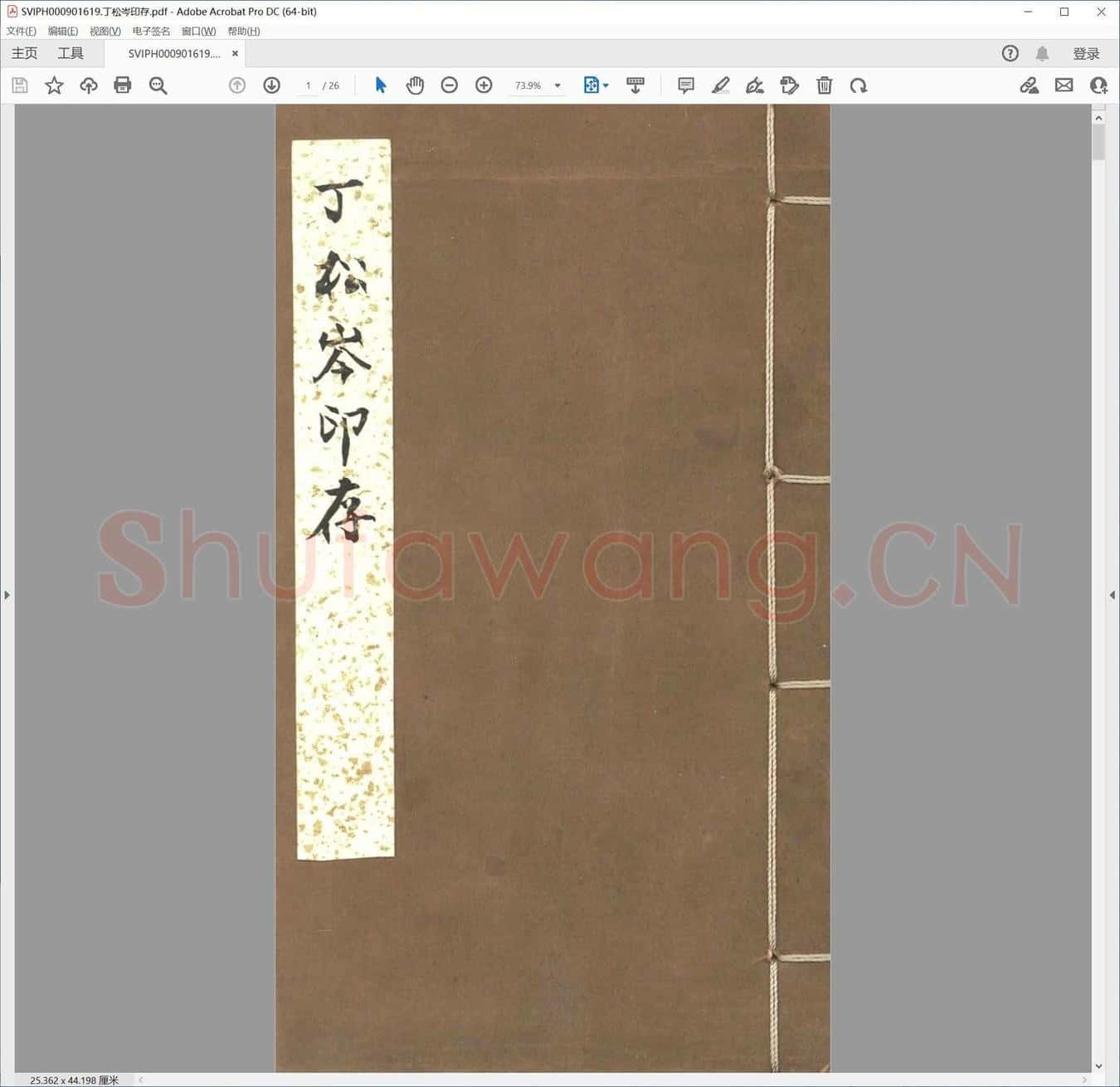 丁松岑印存.pdf