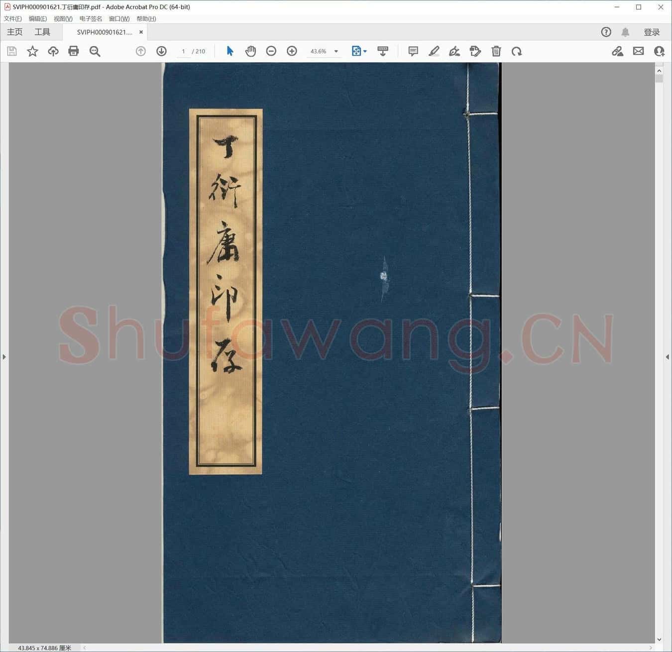 丁衍庸印存.pdf