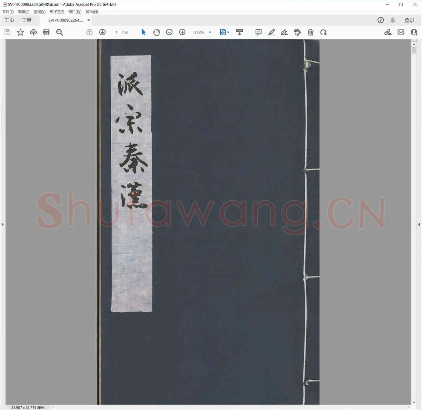 派宗秦汉.pdf