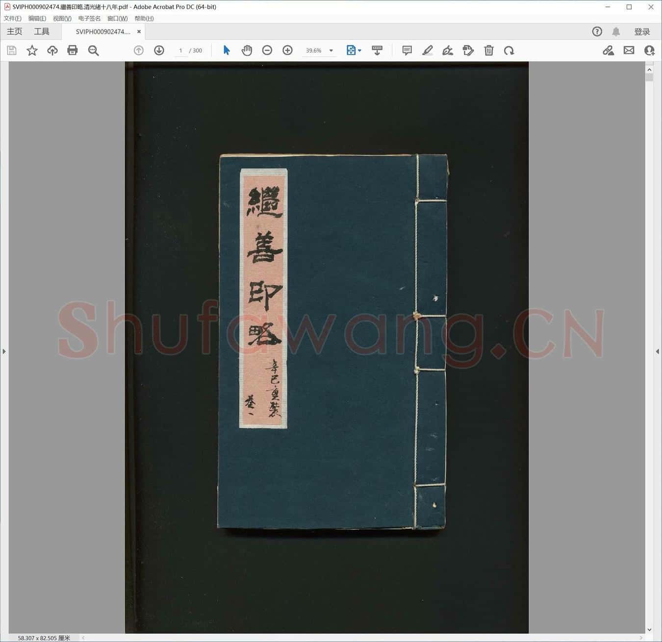 继善印略.清光绪十八年.pdf