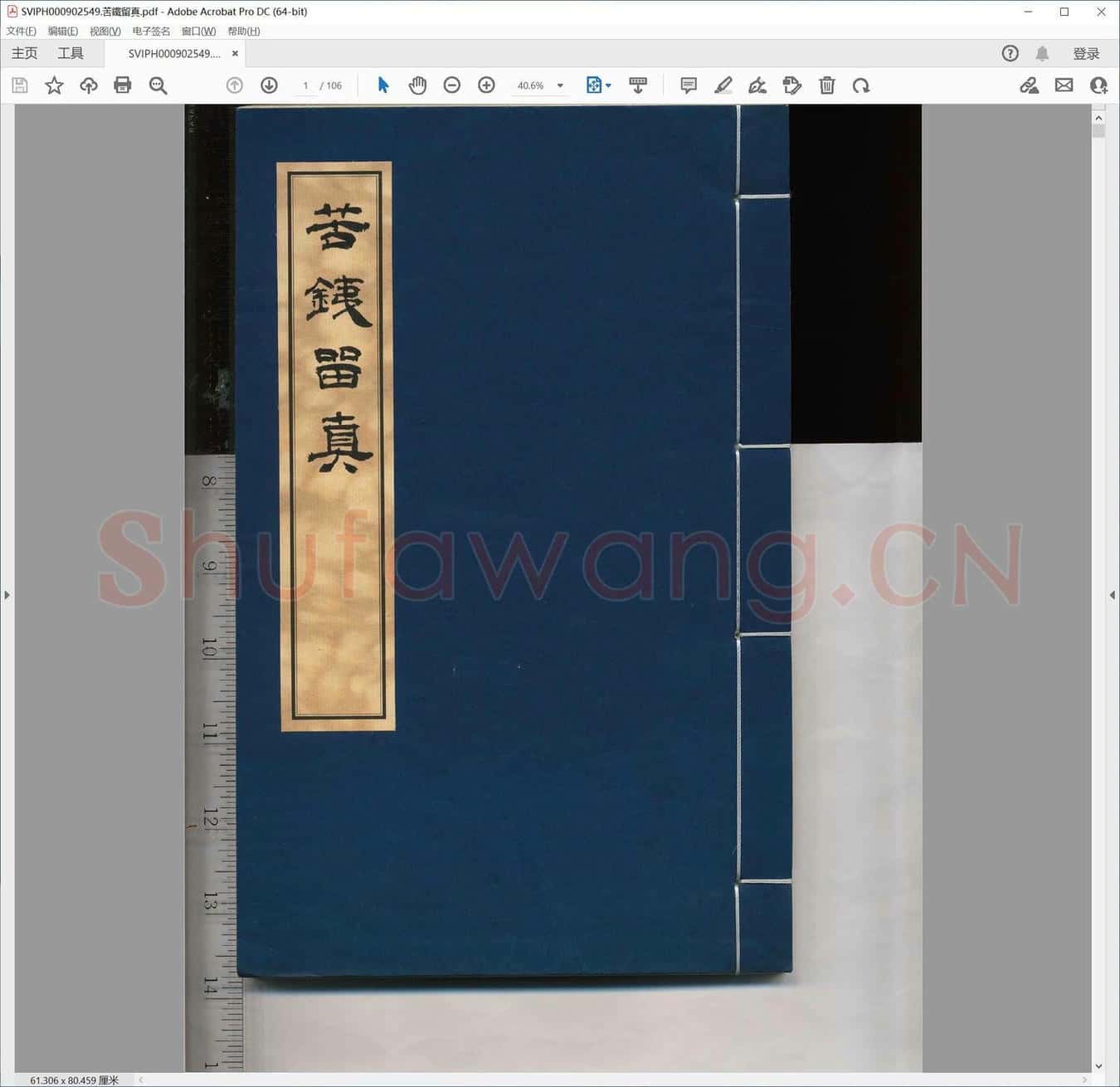 苦铁留真.pdf