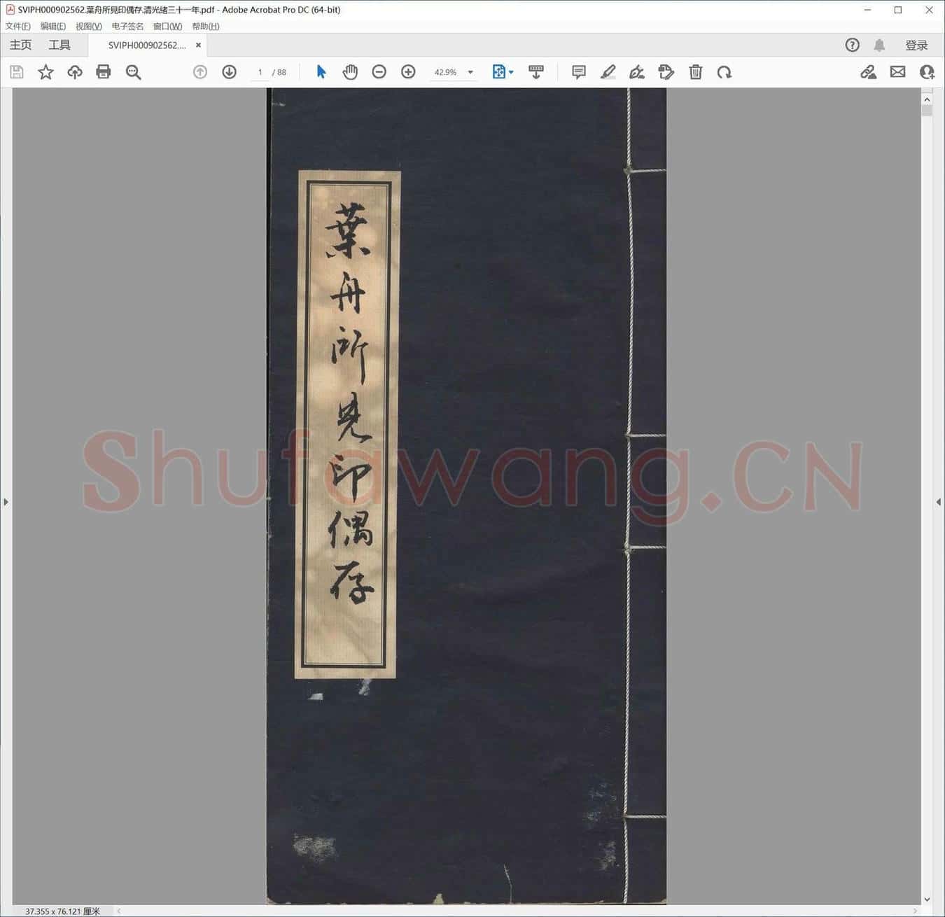 叶舟所见印偶存.清光绪三十一年.pdf