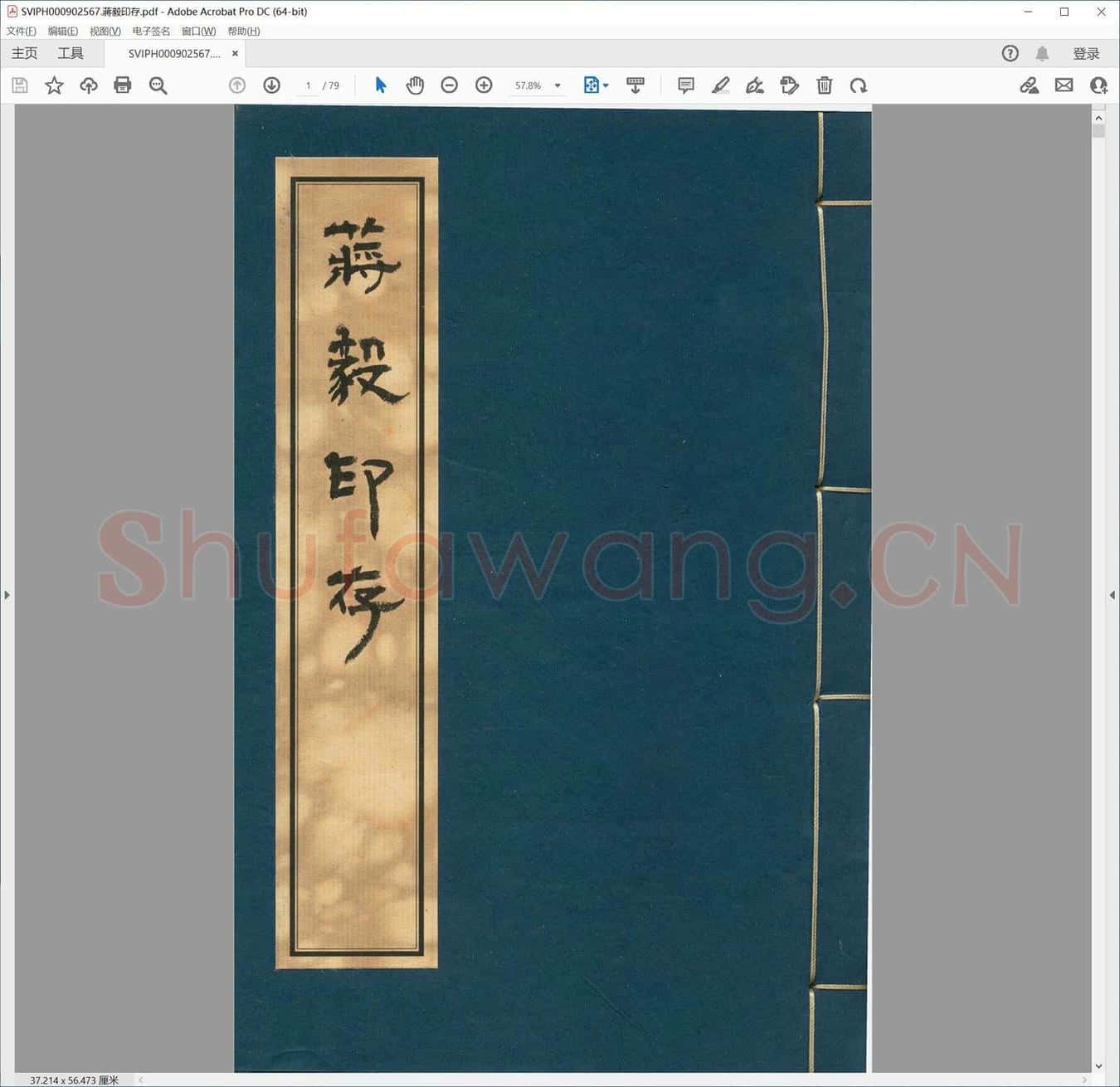 蒋毅印存.pdf