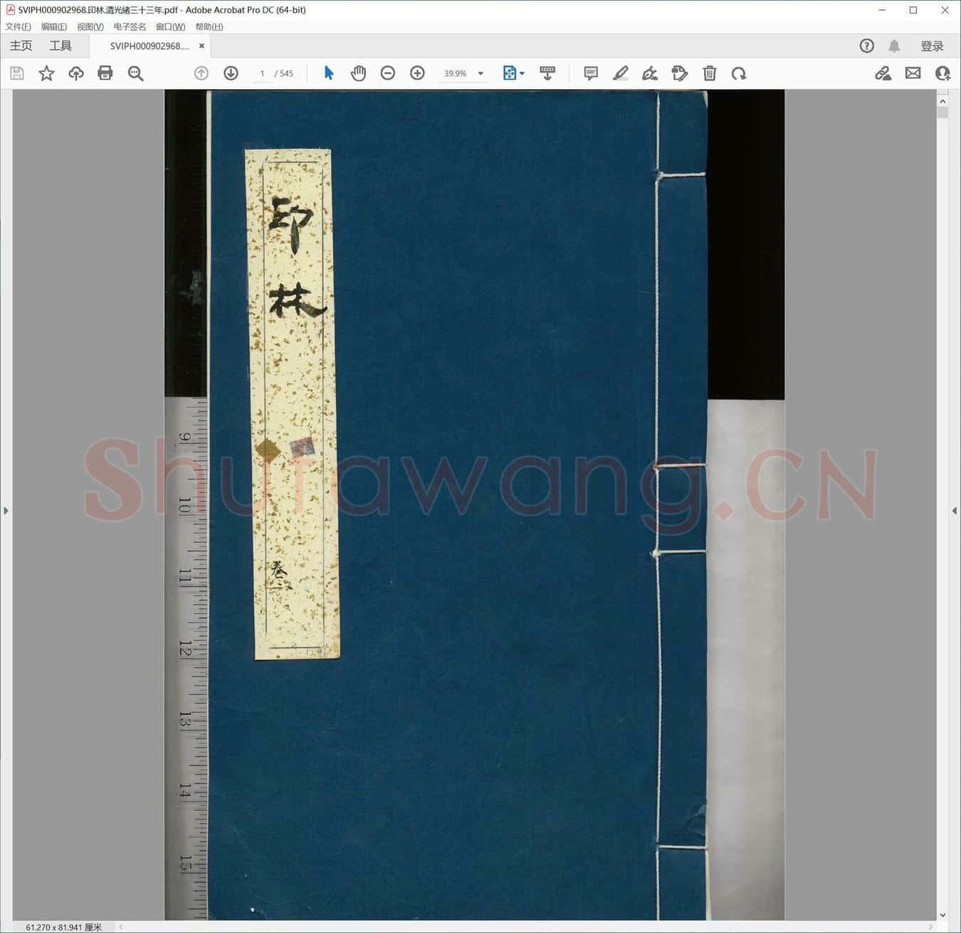 印林.清光绪三十三年.pdf