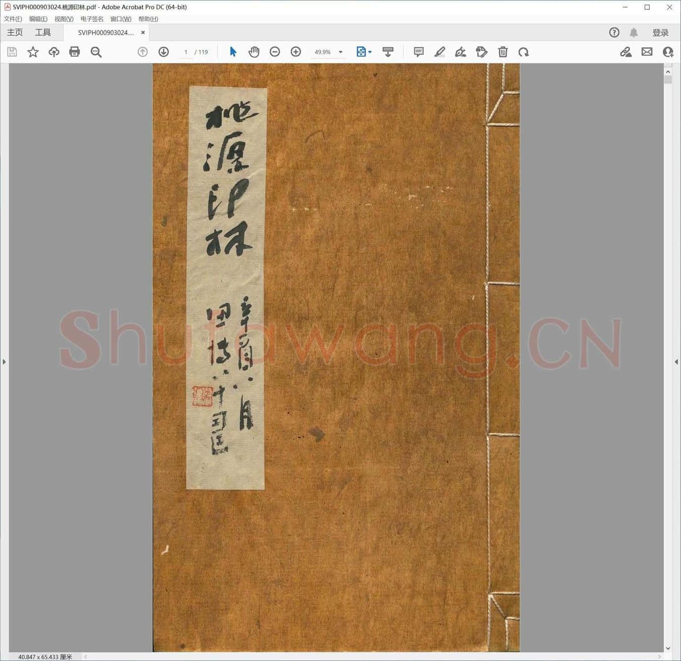 桃源印林.pdf