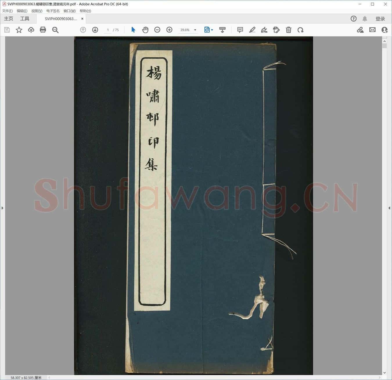 杨啸邨印集.清宣统元年.pdf
