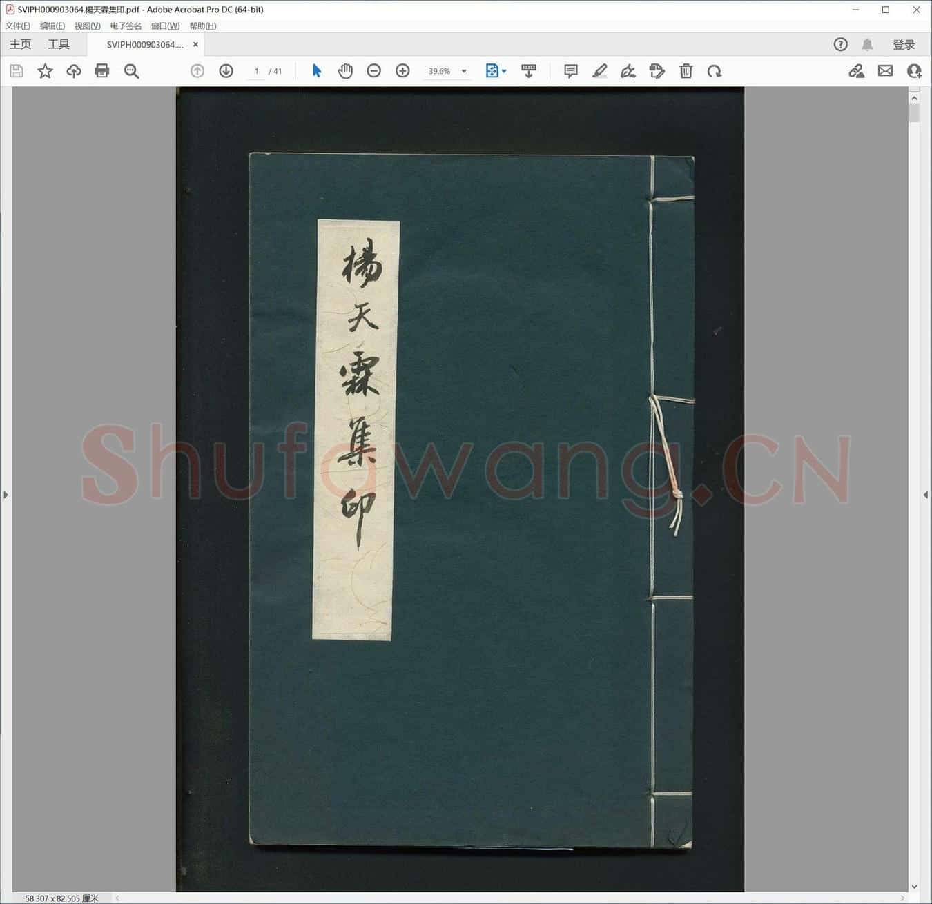 杨天霖集印.pdf