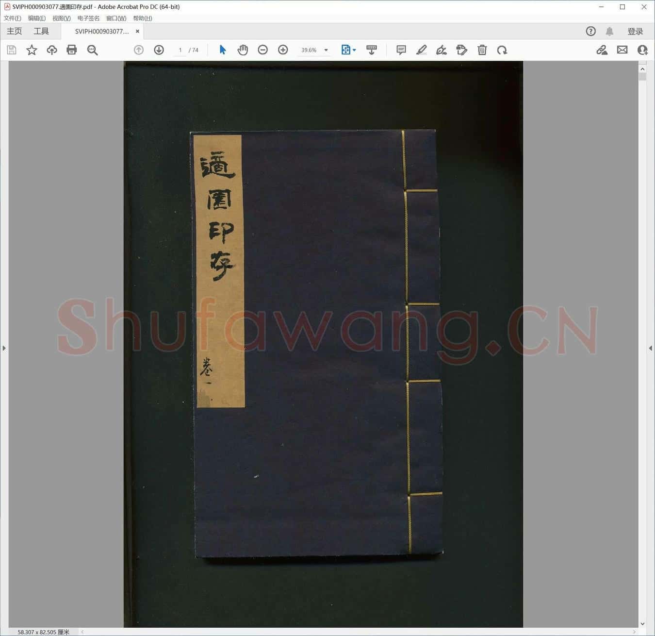 适园印存.pdf