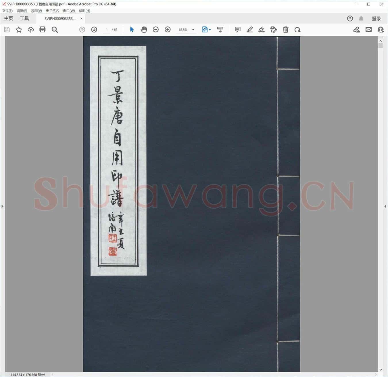 丁景唐自用印谱.pdf