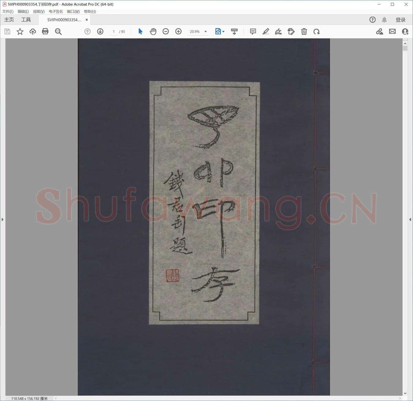 丁卯印存.pdf