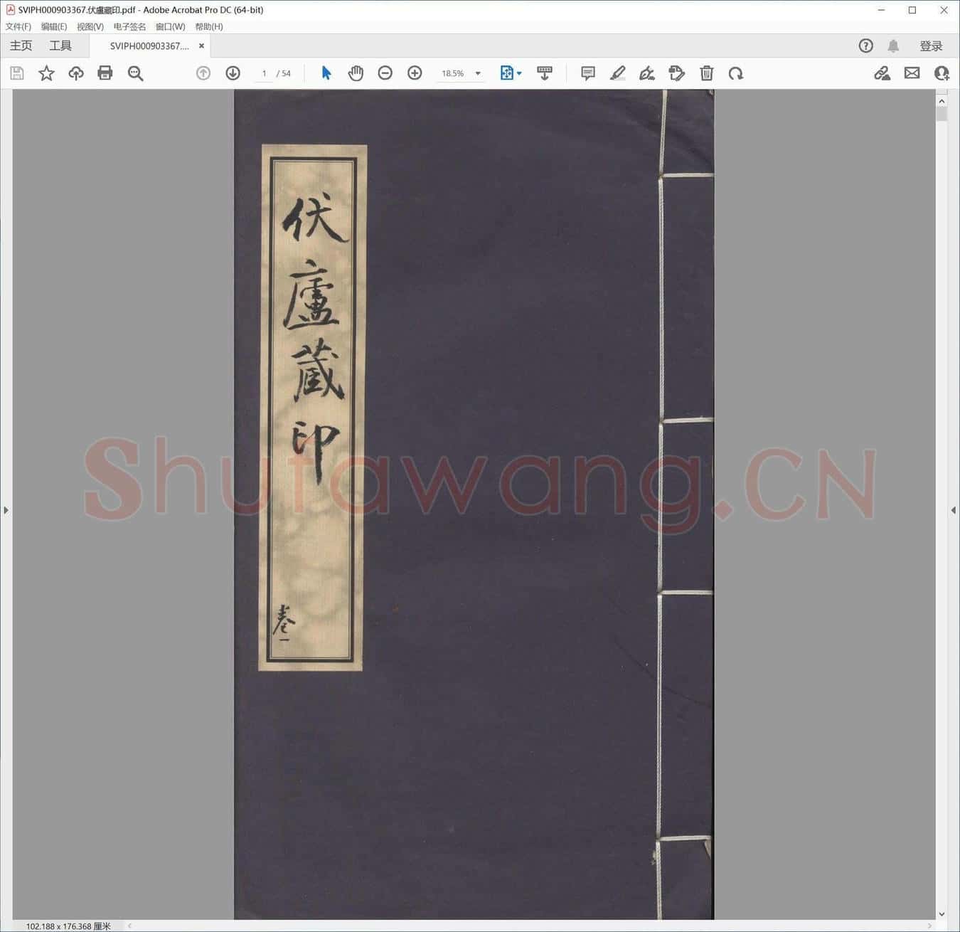 伏卢藏印.pdf