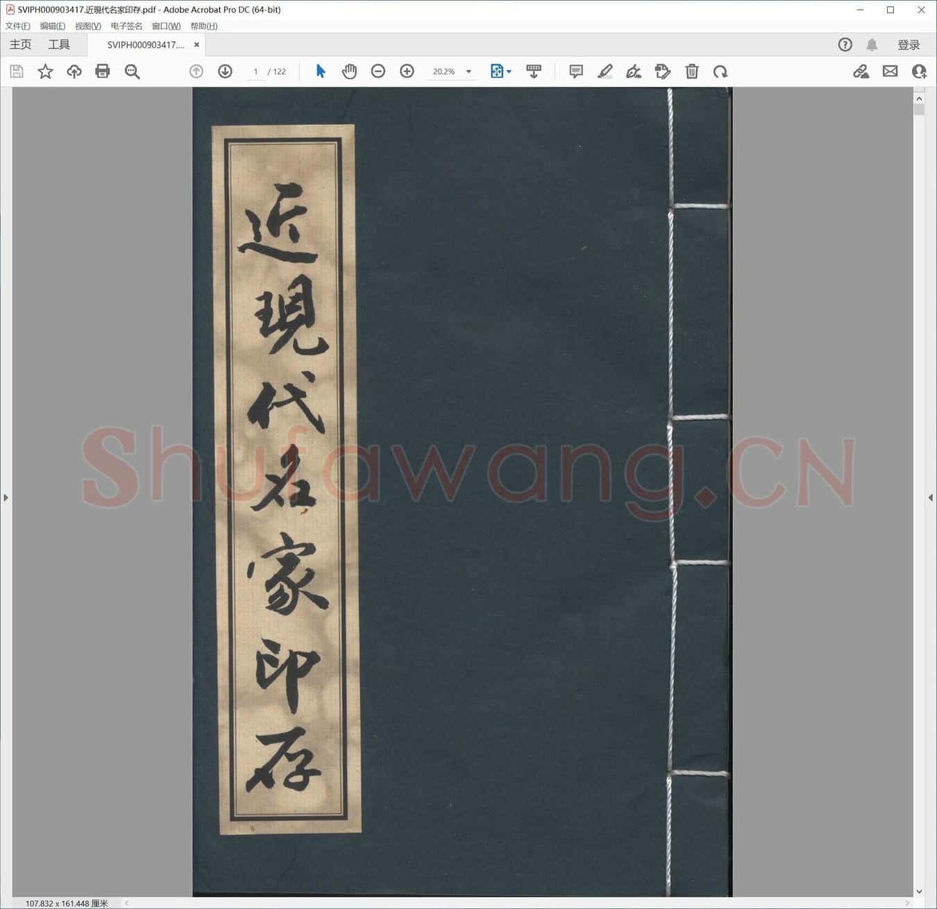 近现代名家印存.pdf