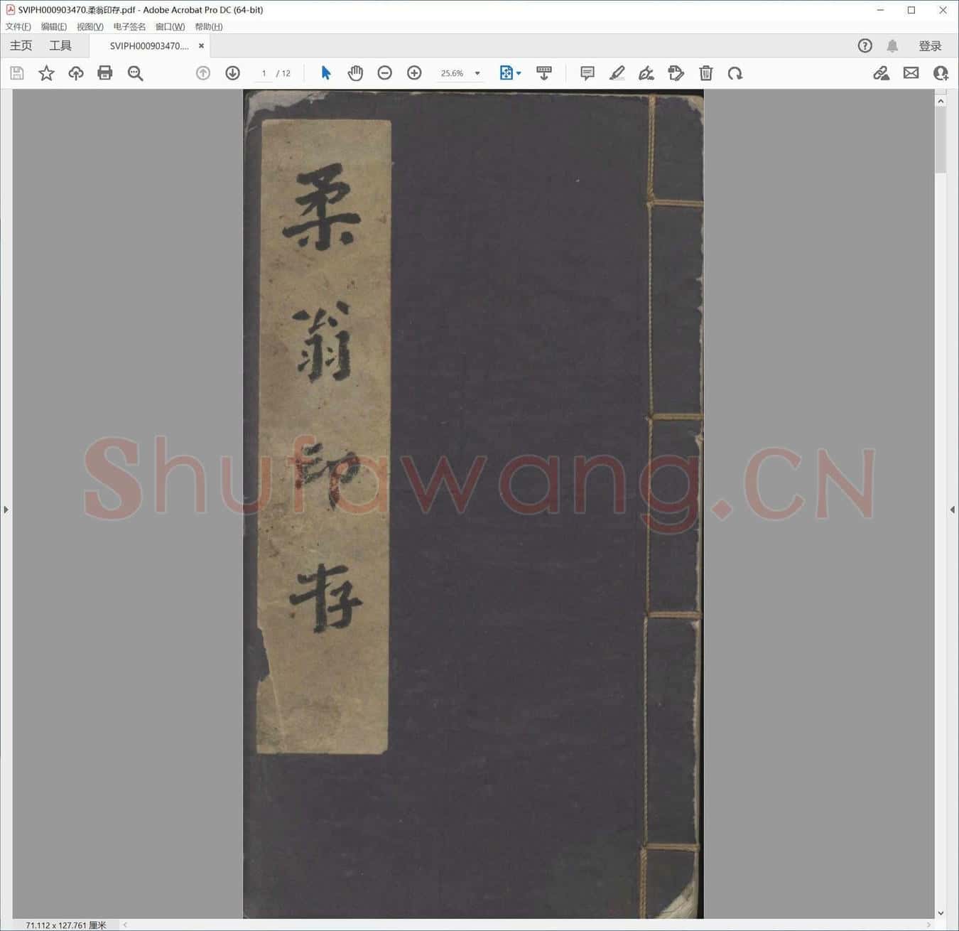 柔翁印存.pdf