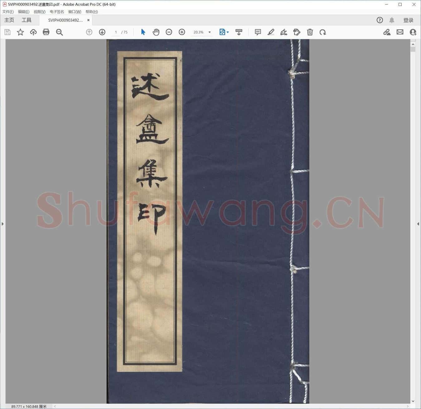 述盦集印.pdf